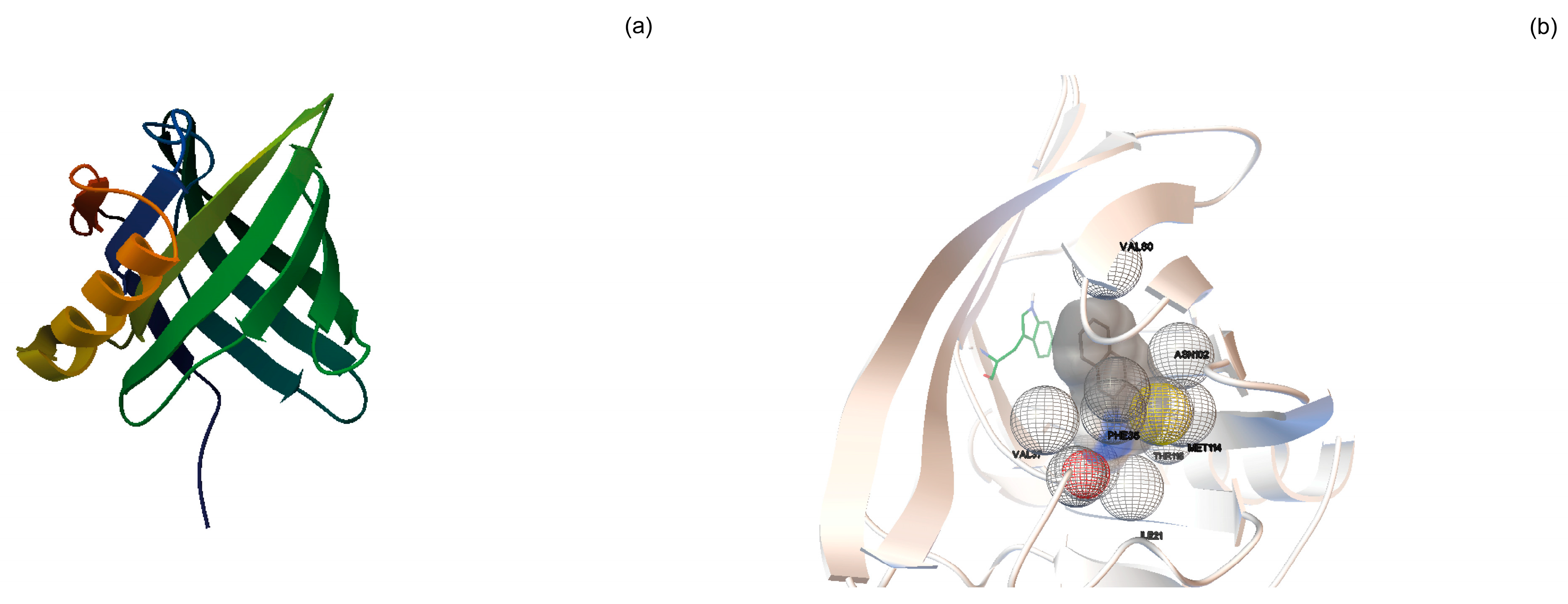 Biosensors 13 00341 g002