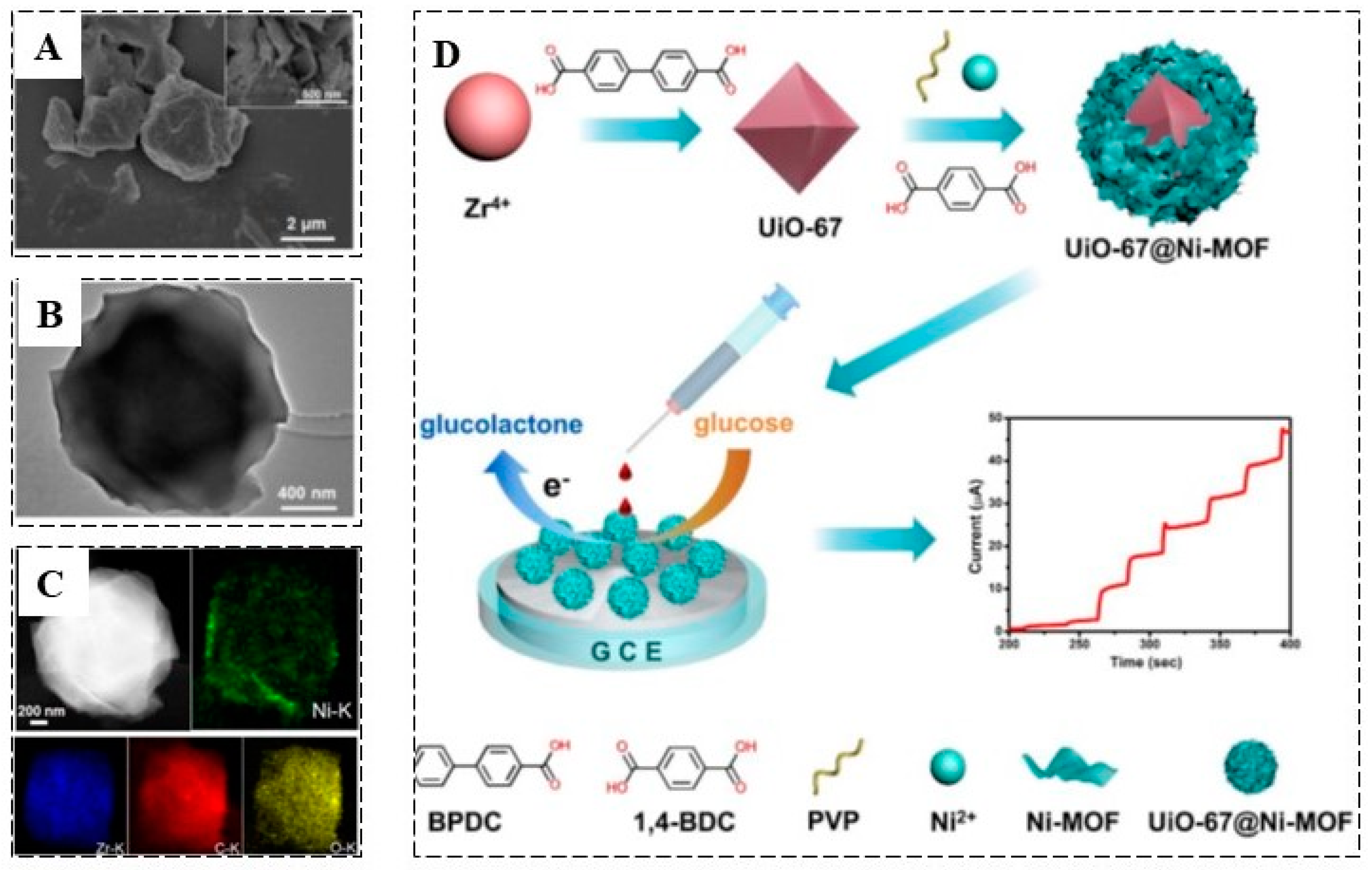 Biosensors 13 00347 g003