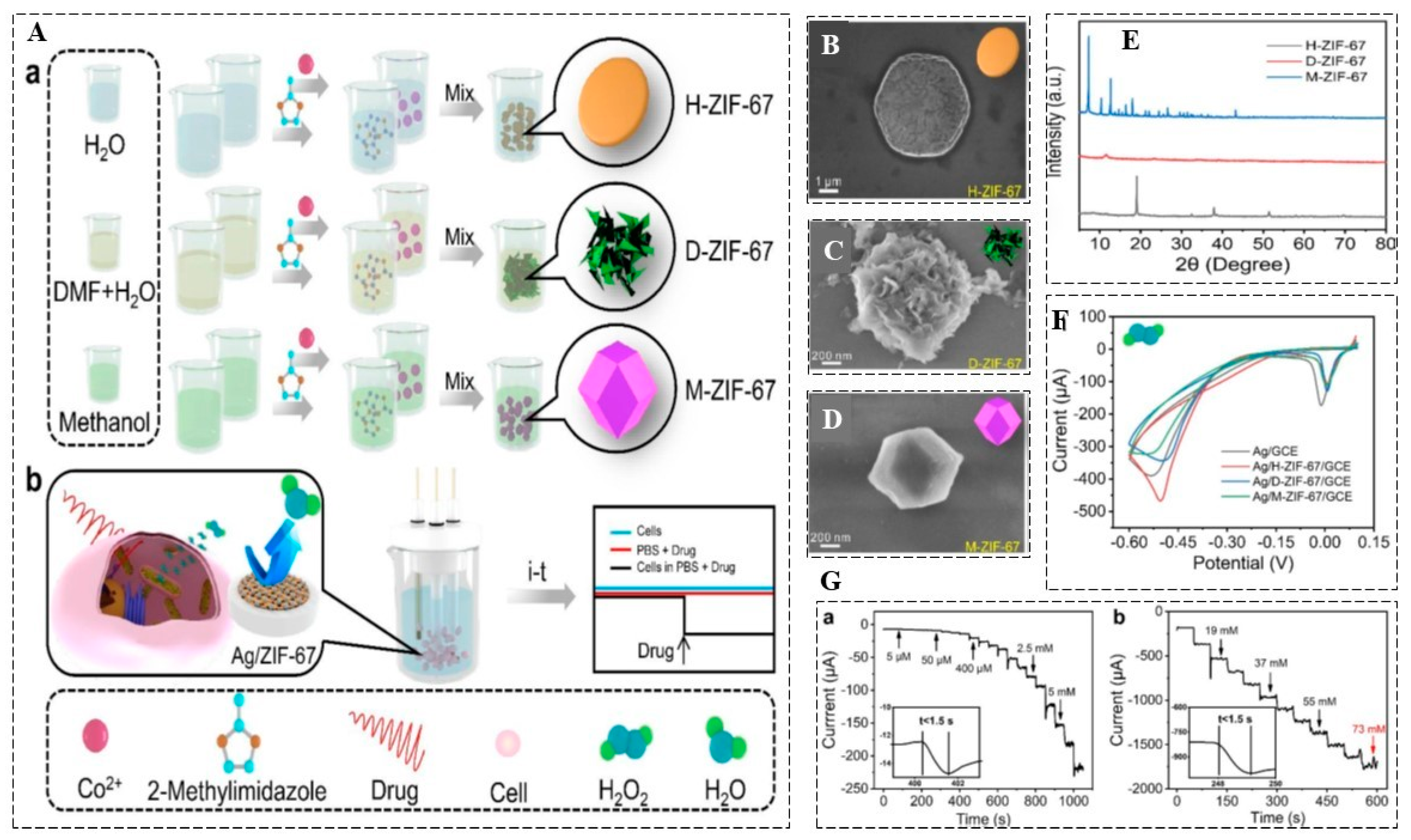 Biosensors 13 00347 g007