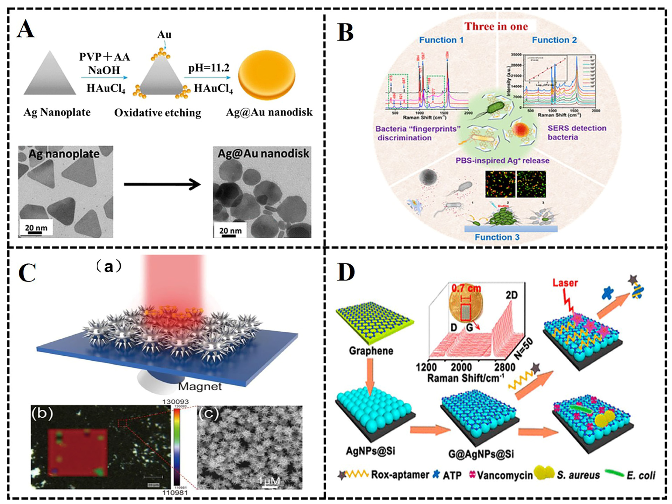 Biosensors 13 00350 g002 Biosensors 13 00350 g002