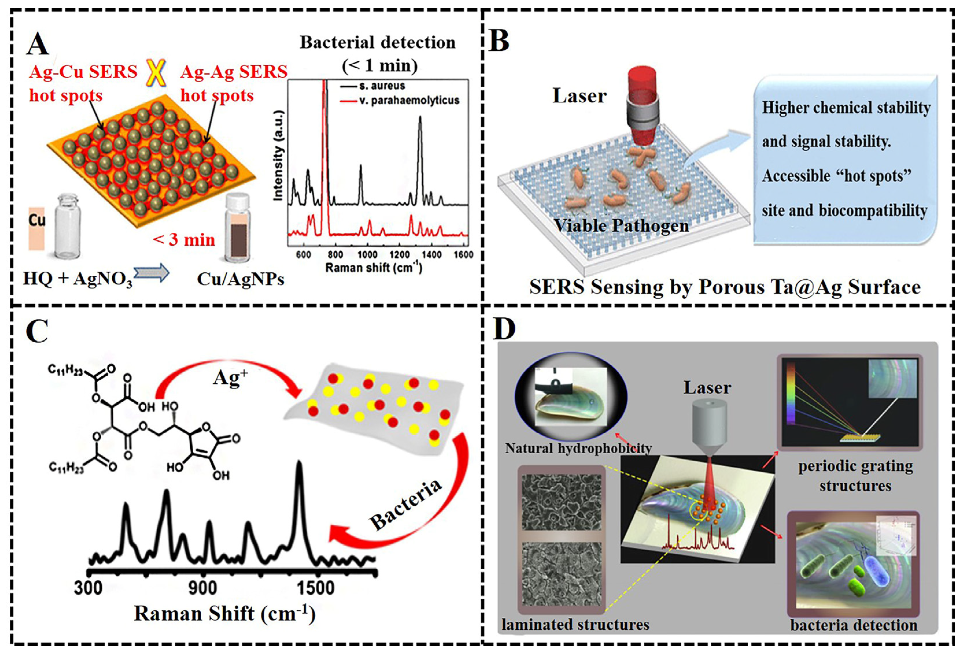 Biosensors 13 00350 g004 Biosensors 13 00350 g004