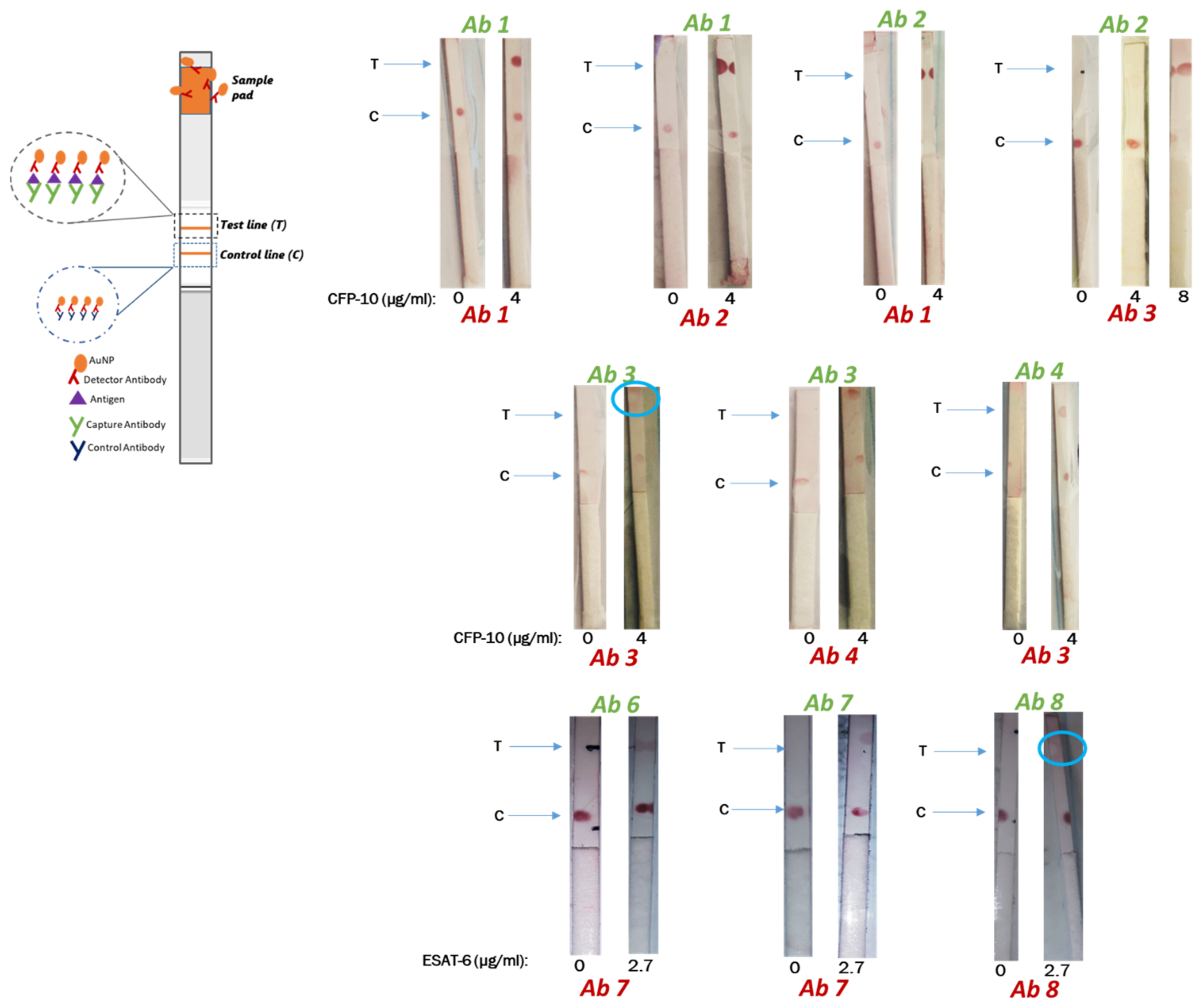 Biosensors 13 00354 g003