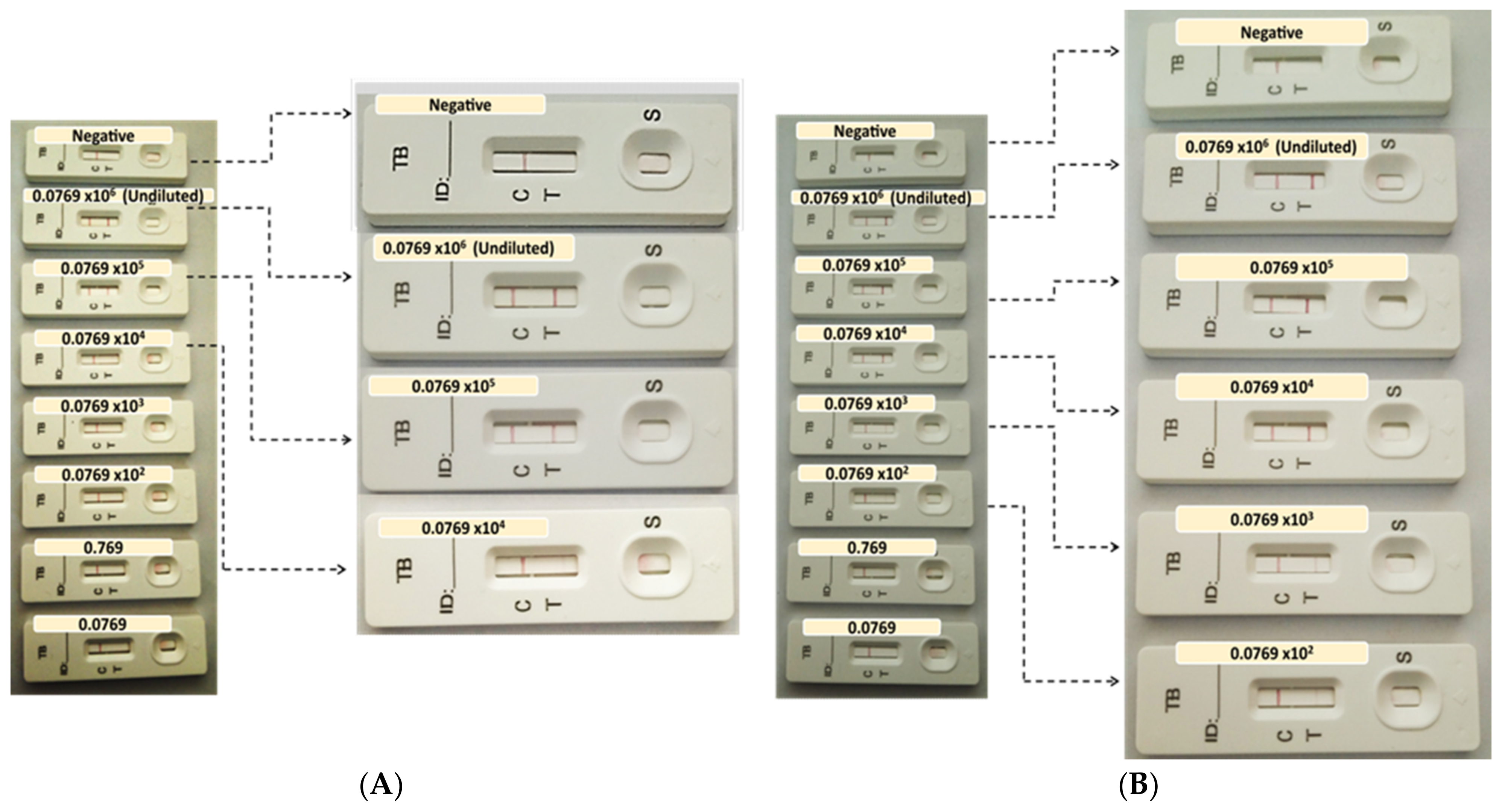 Biosensors 13 00354 g004