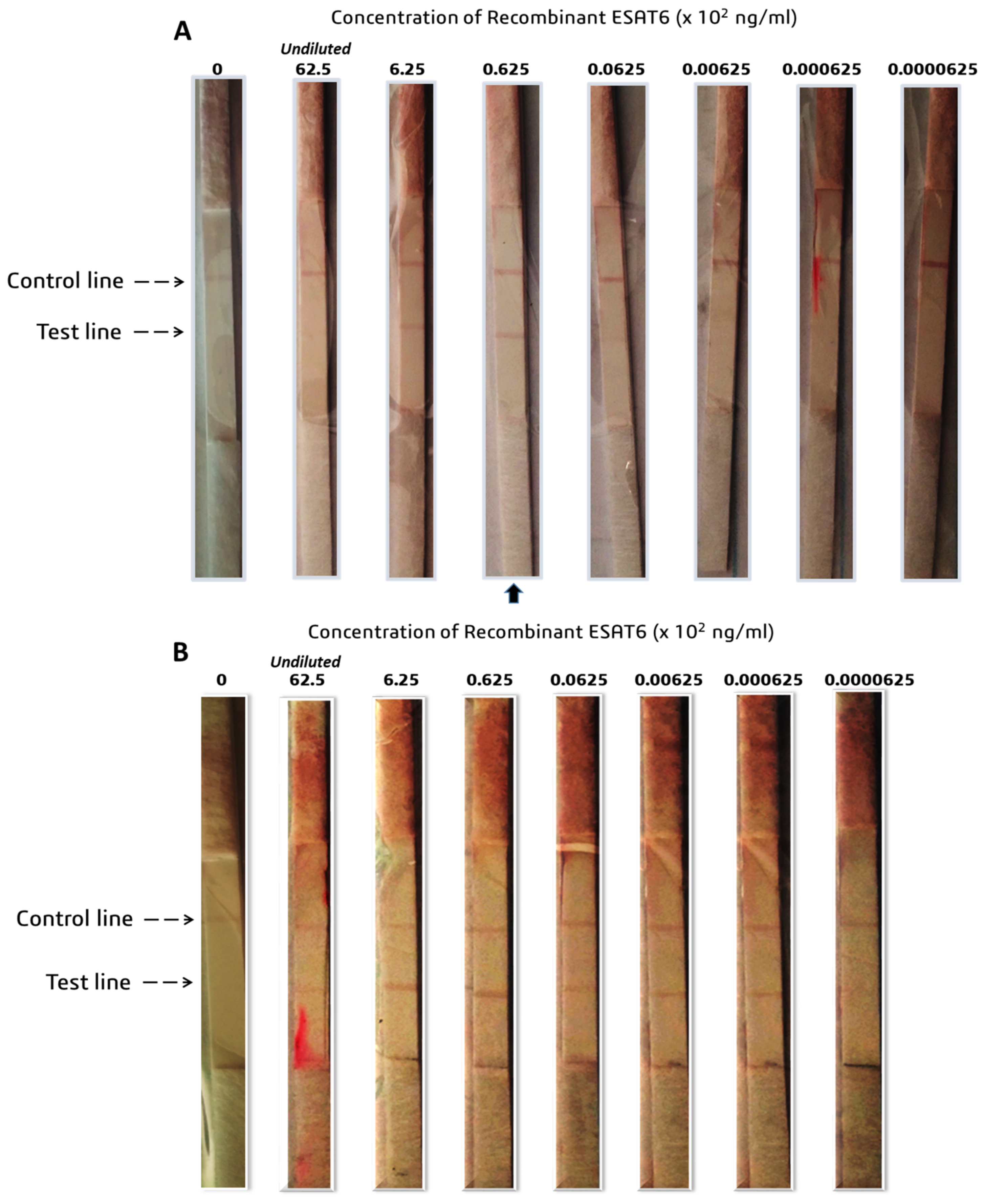 Biosensors 13 00354 g005