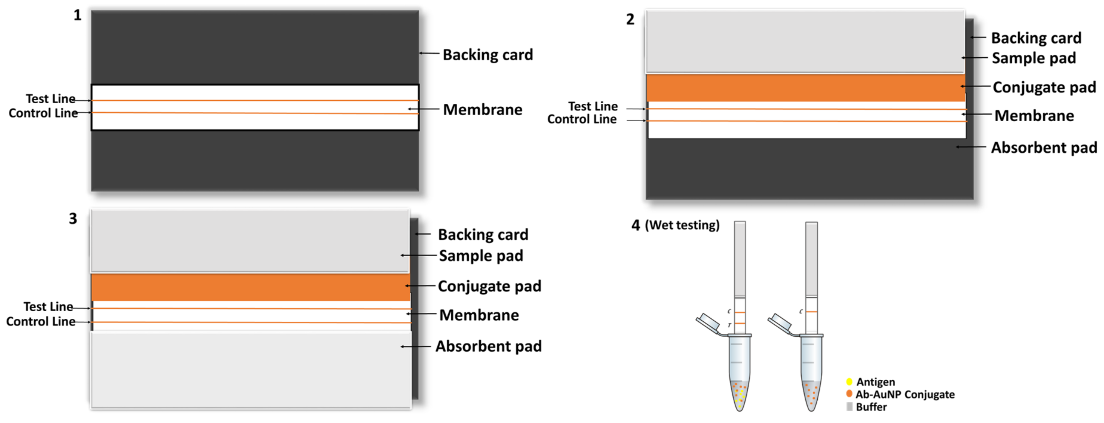 Biosensors 13 00354 sch002