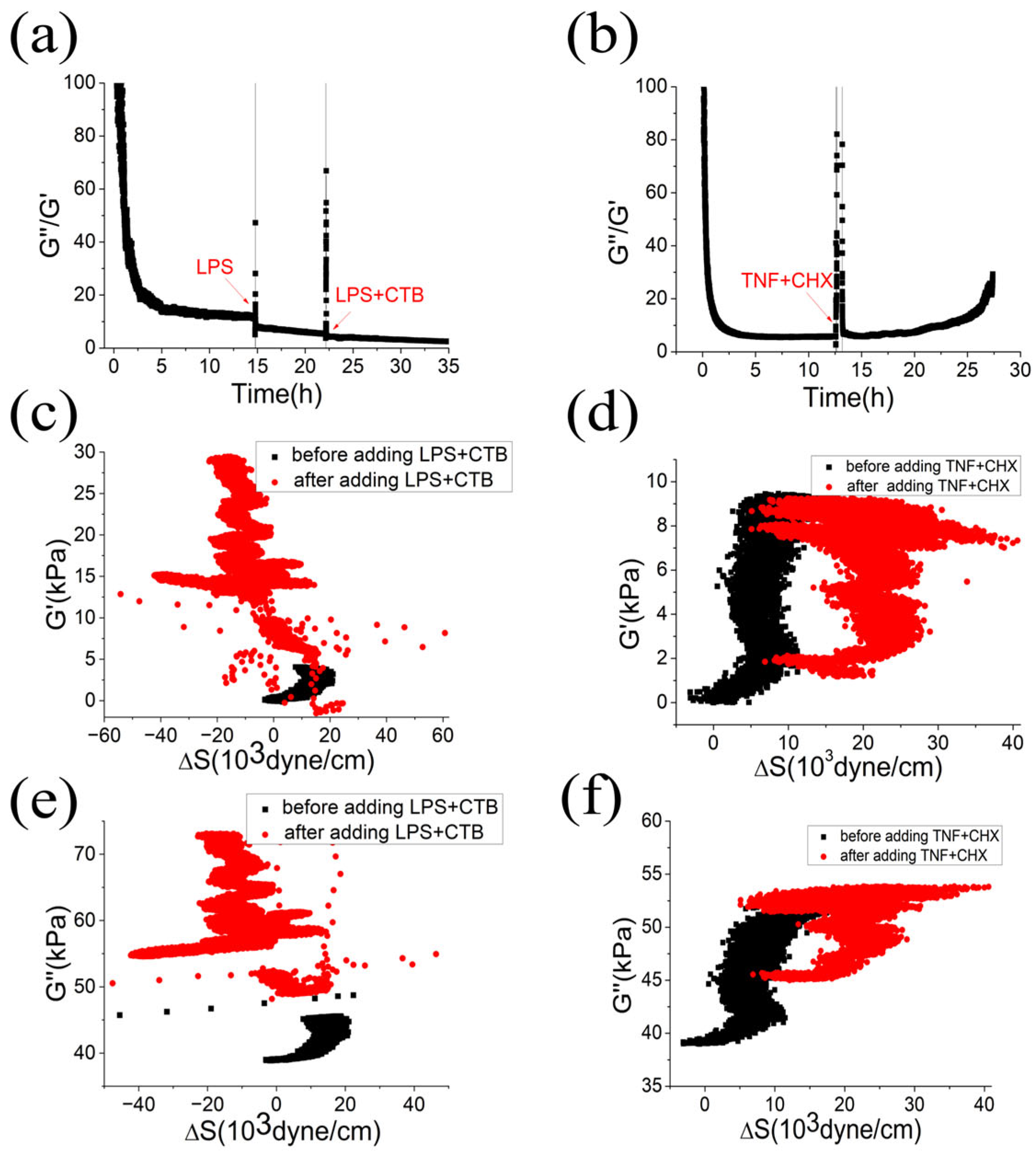 Biosensors 13 00356 g003
