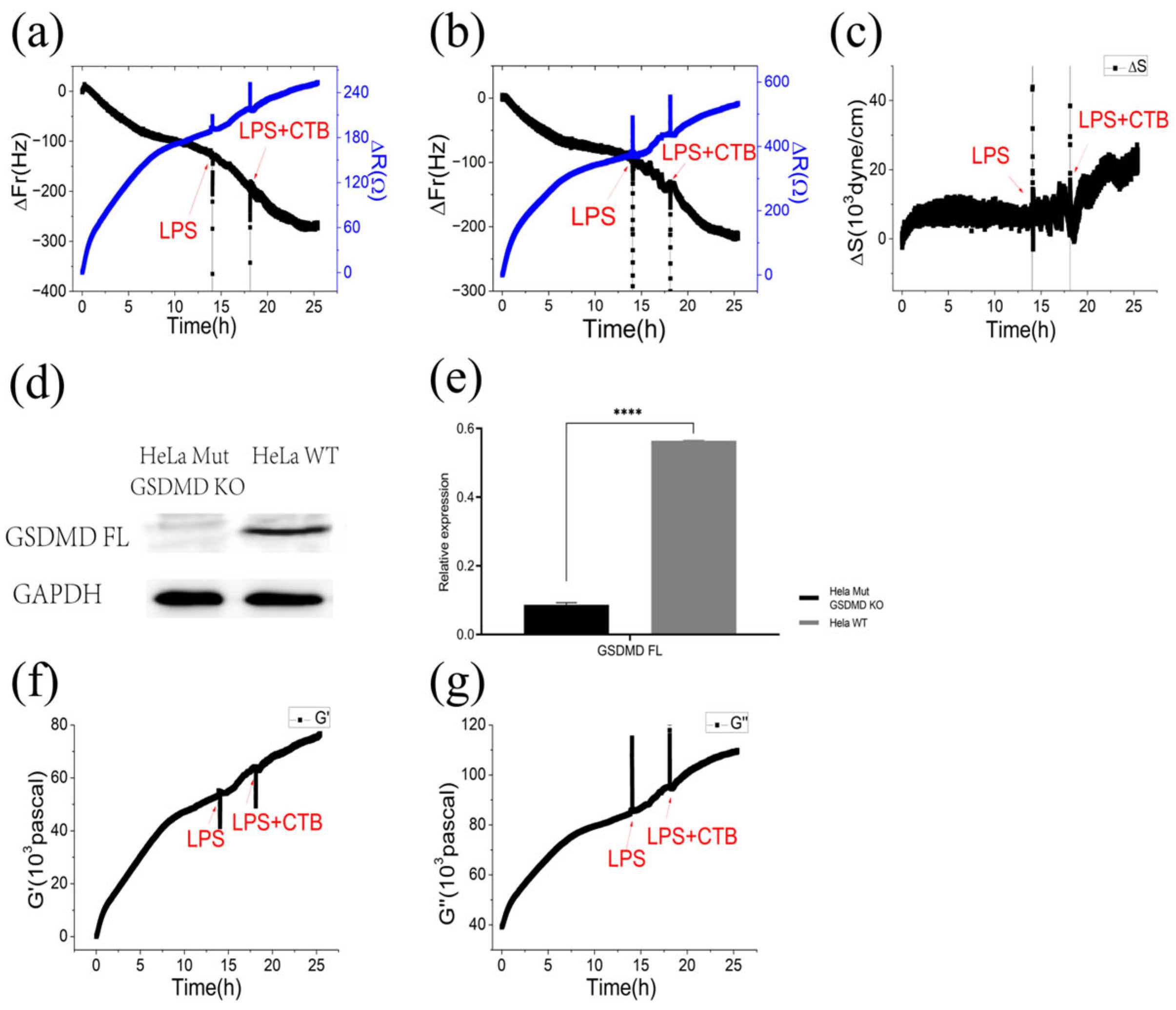 Biosensors 13 00356 g005