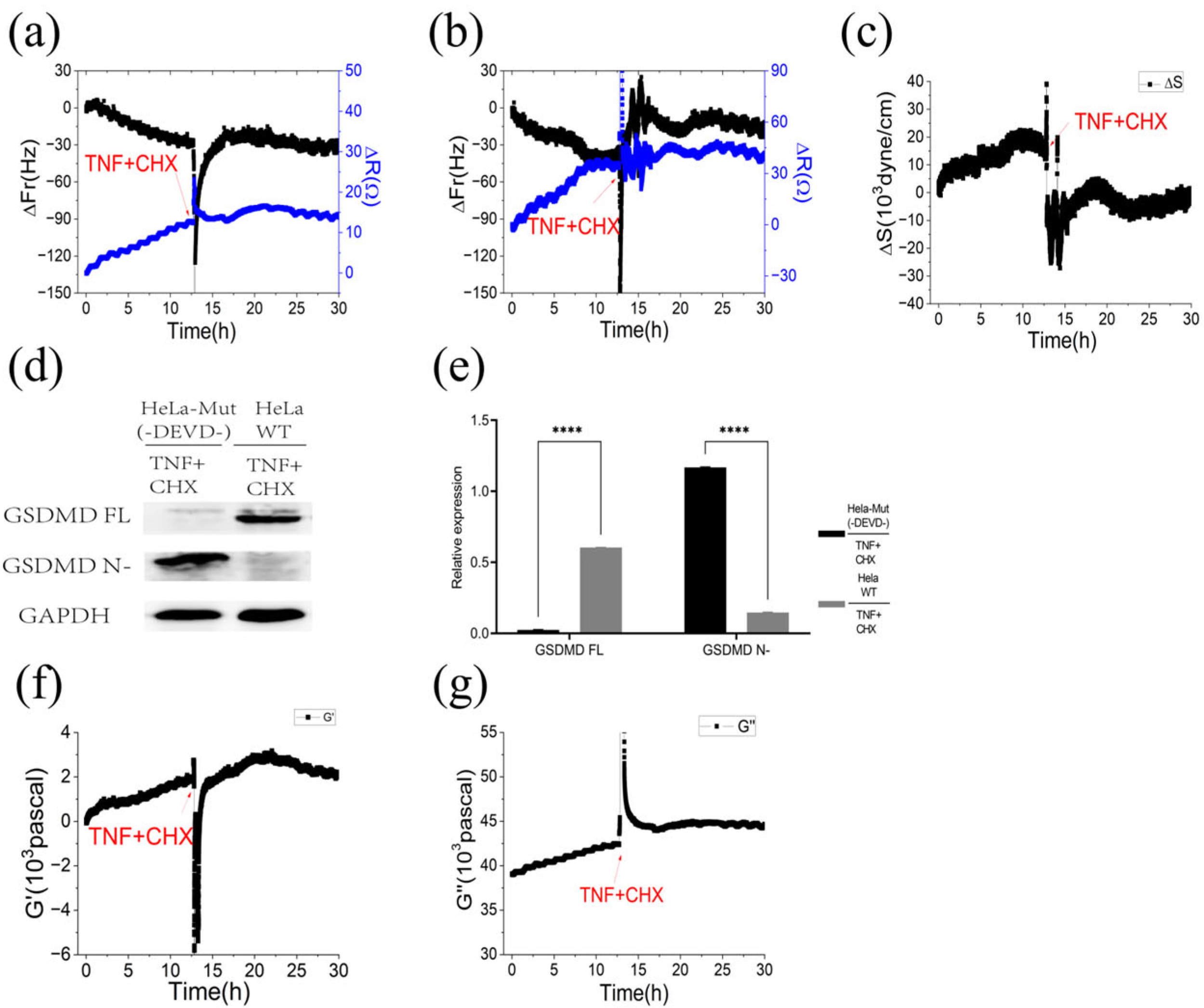 Biosensors 13 00356 g006