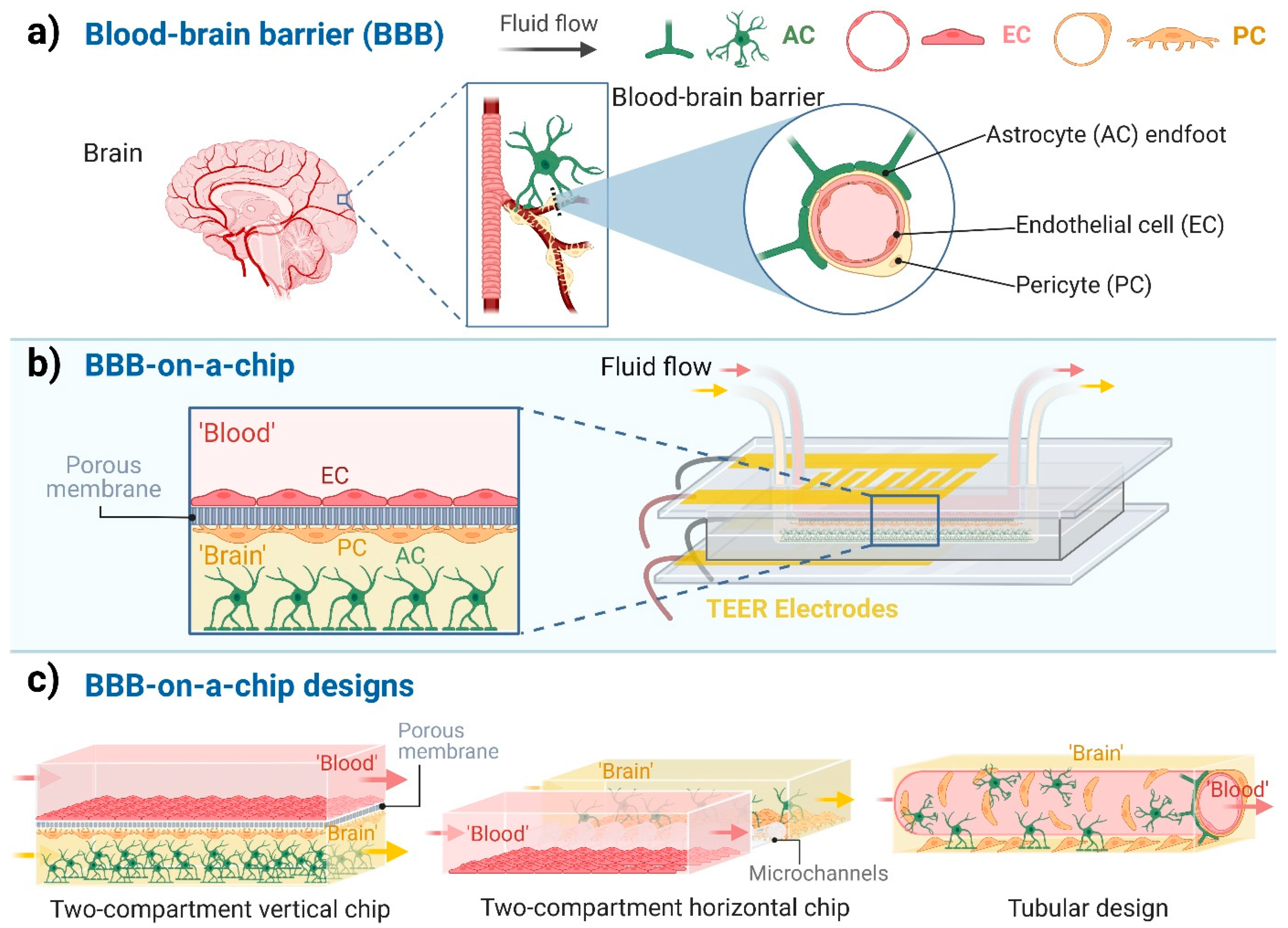 Biosensors 13 00357 g001