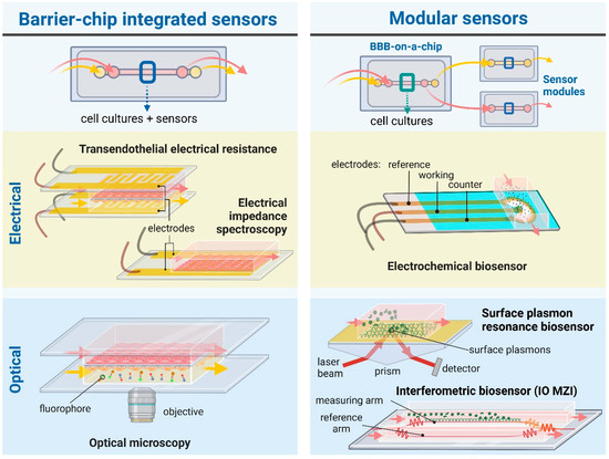 Biosensors Integration in Blood–Brain Barrier-on-a-Chip: Emerging Platform  for Monitoring Neurodegenerative Diseases