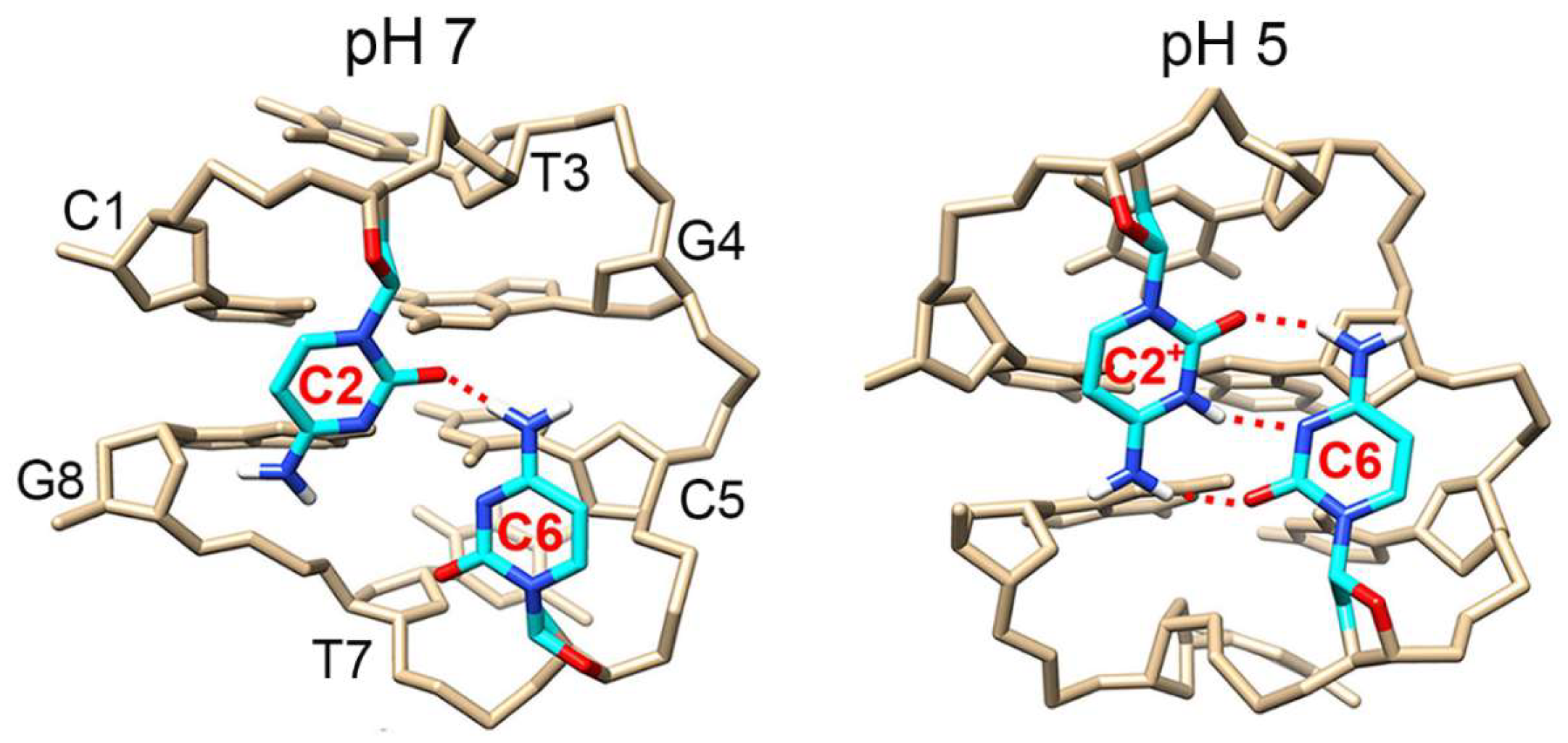 Biosensors 13 00358 g001 Biosensors 13 00358 g001