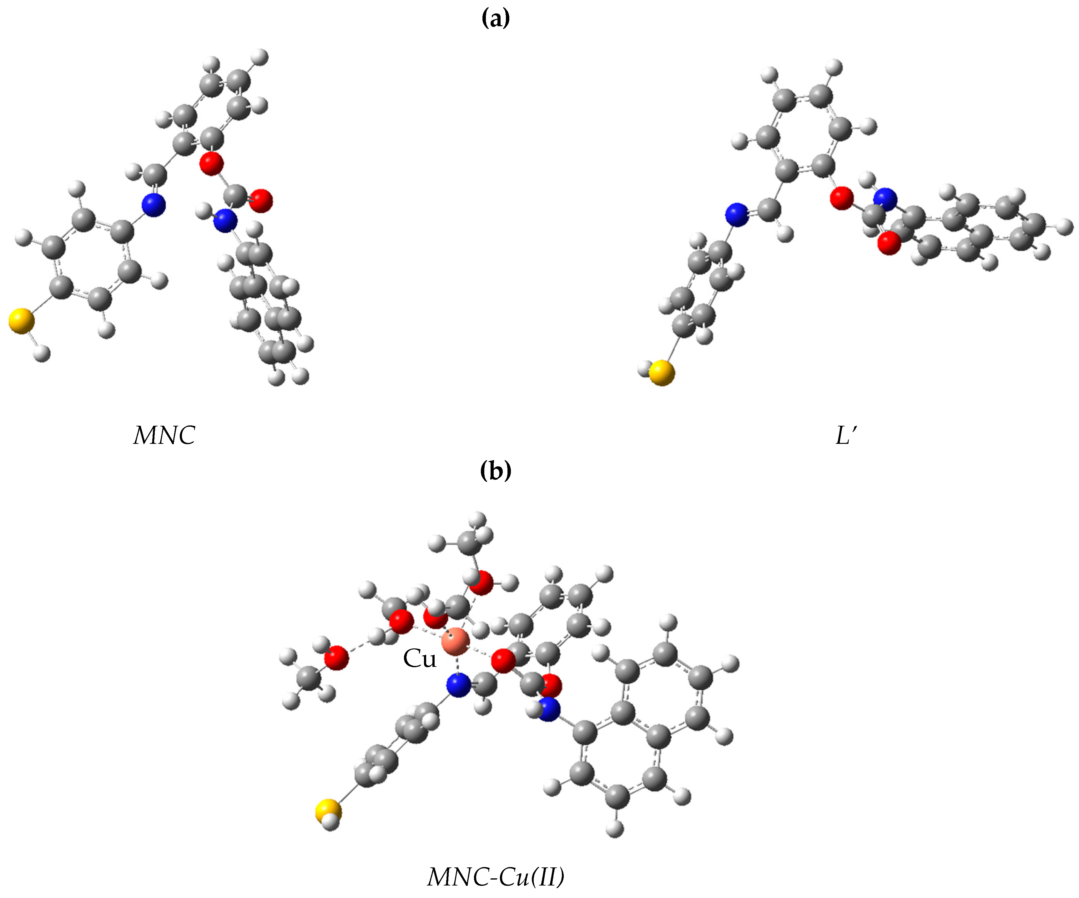 Biosensors 13 00359 g010