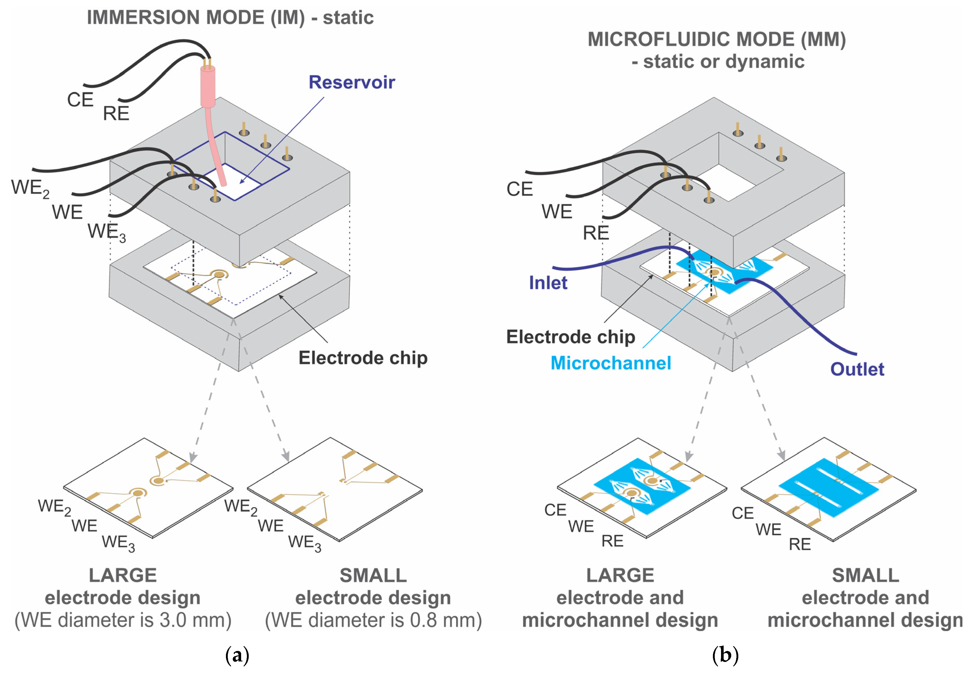Biosensors 13 00364 g002