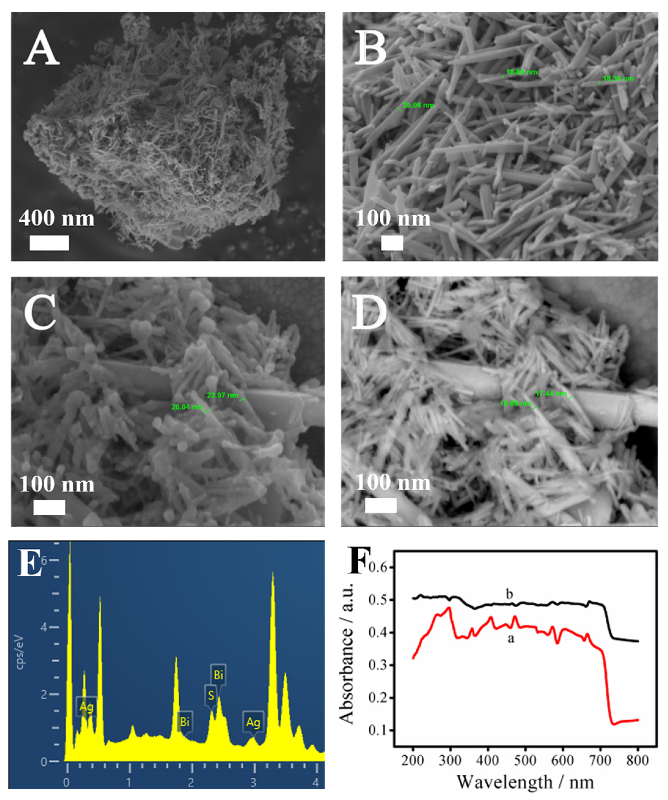 Biosensors 13 00366 g001