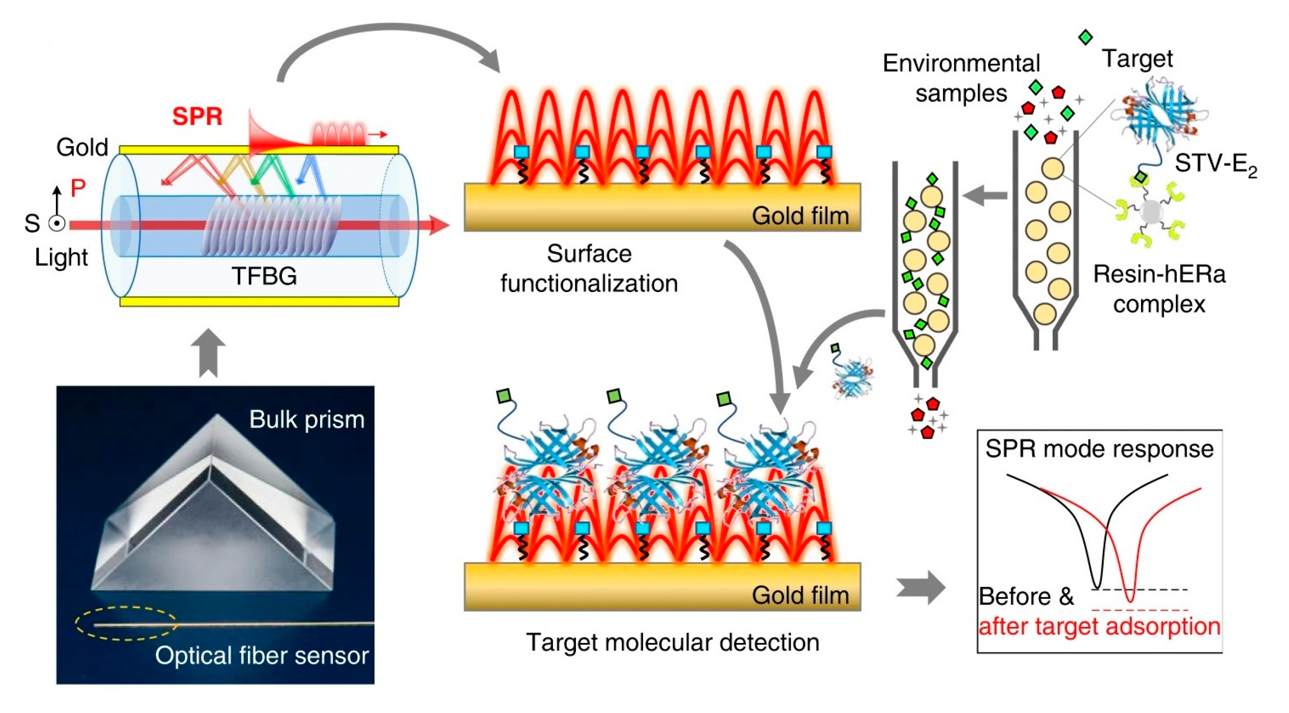 Biosensors Free FullText Optical Biosensors and Their Applications