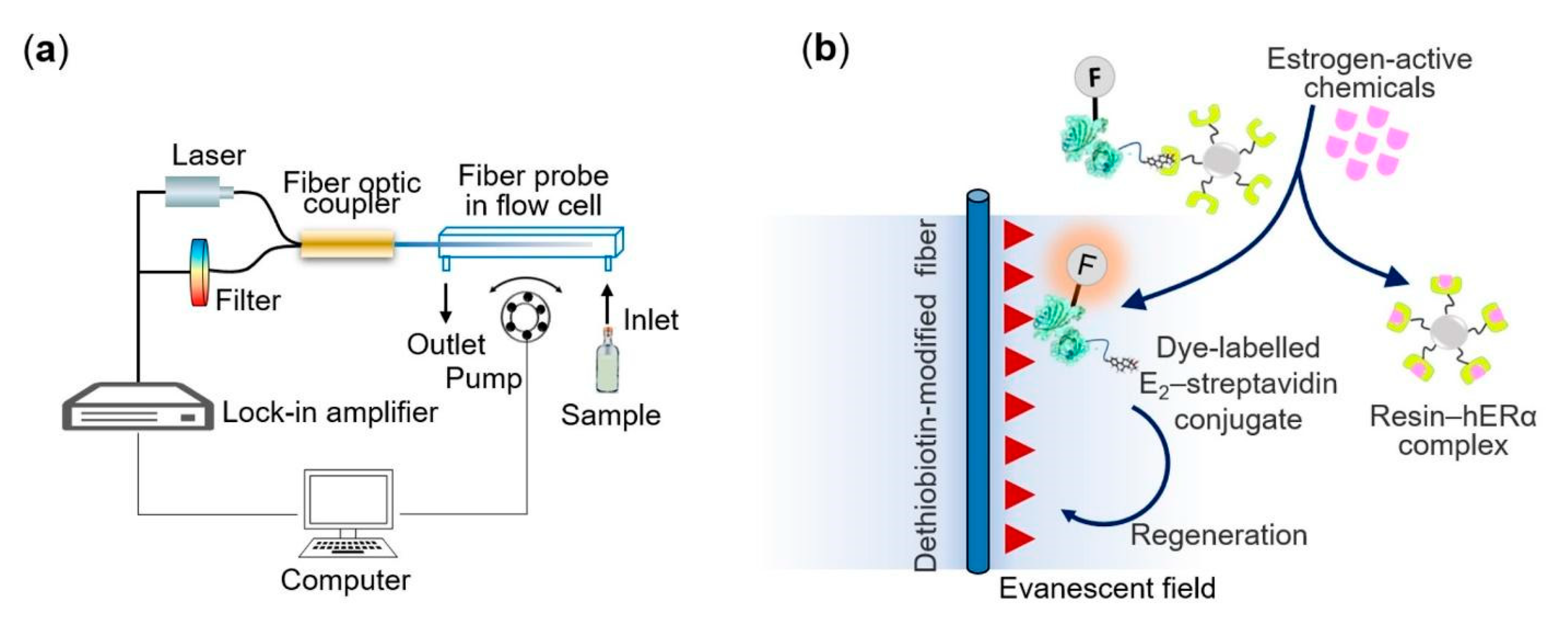 Biosensors Free FullText Optical Biosensors and Their Applications