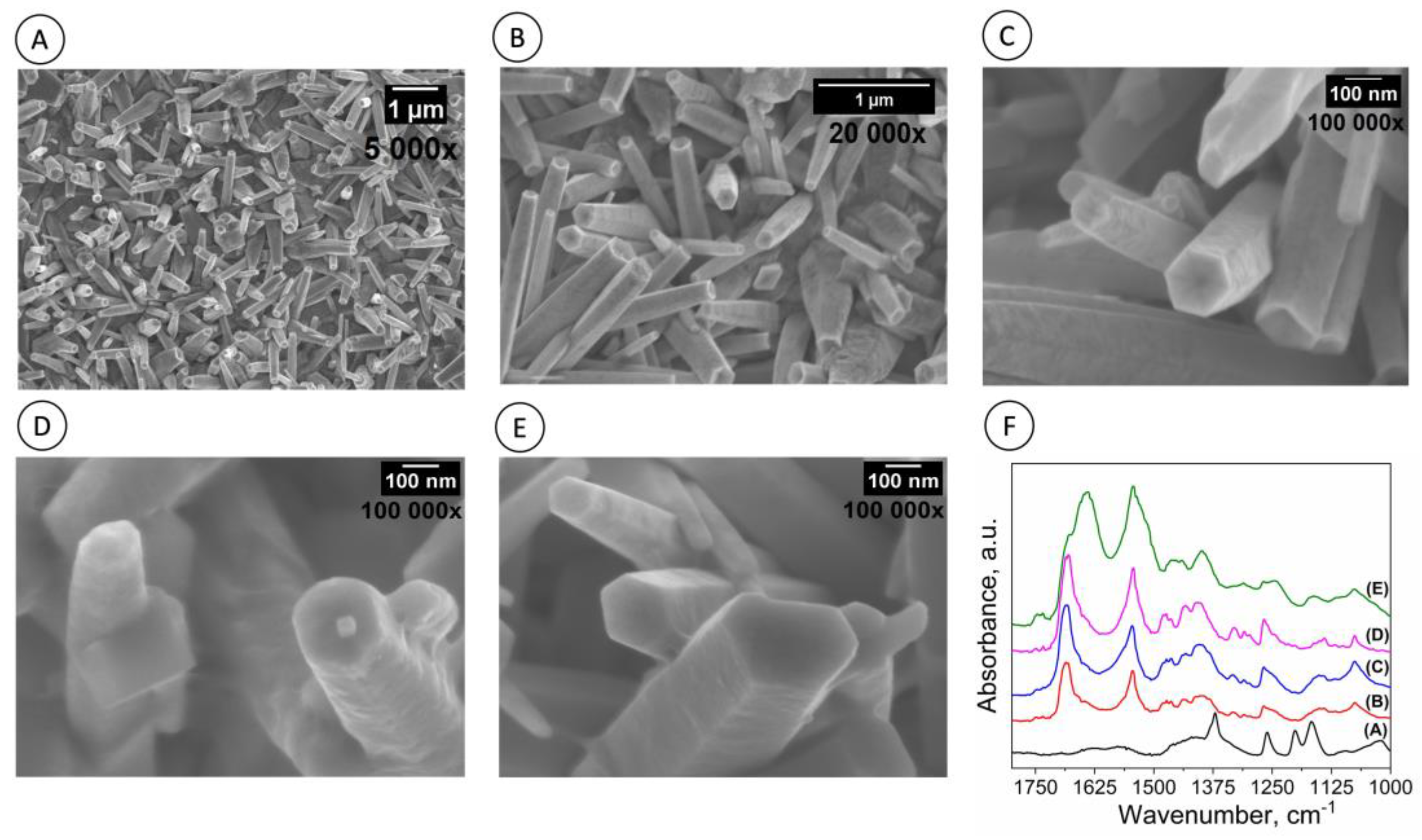 Biosensors 13 00371 g003