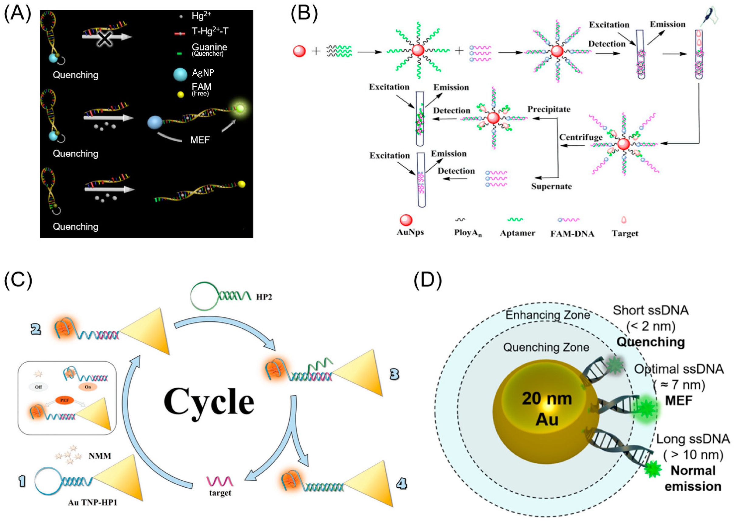 Biosensors 13 00376 g002 Biosensors 13 00376 g002