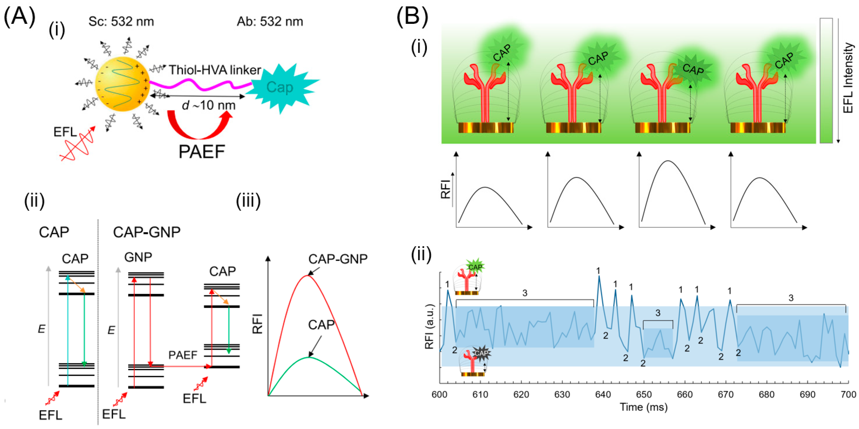 Biosensors 13 00376 g003 Biosensors 13 00376 g003