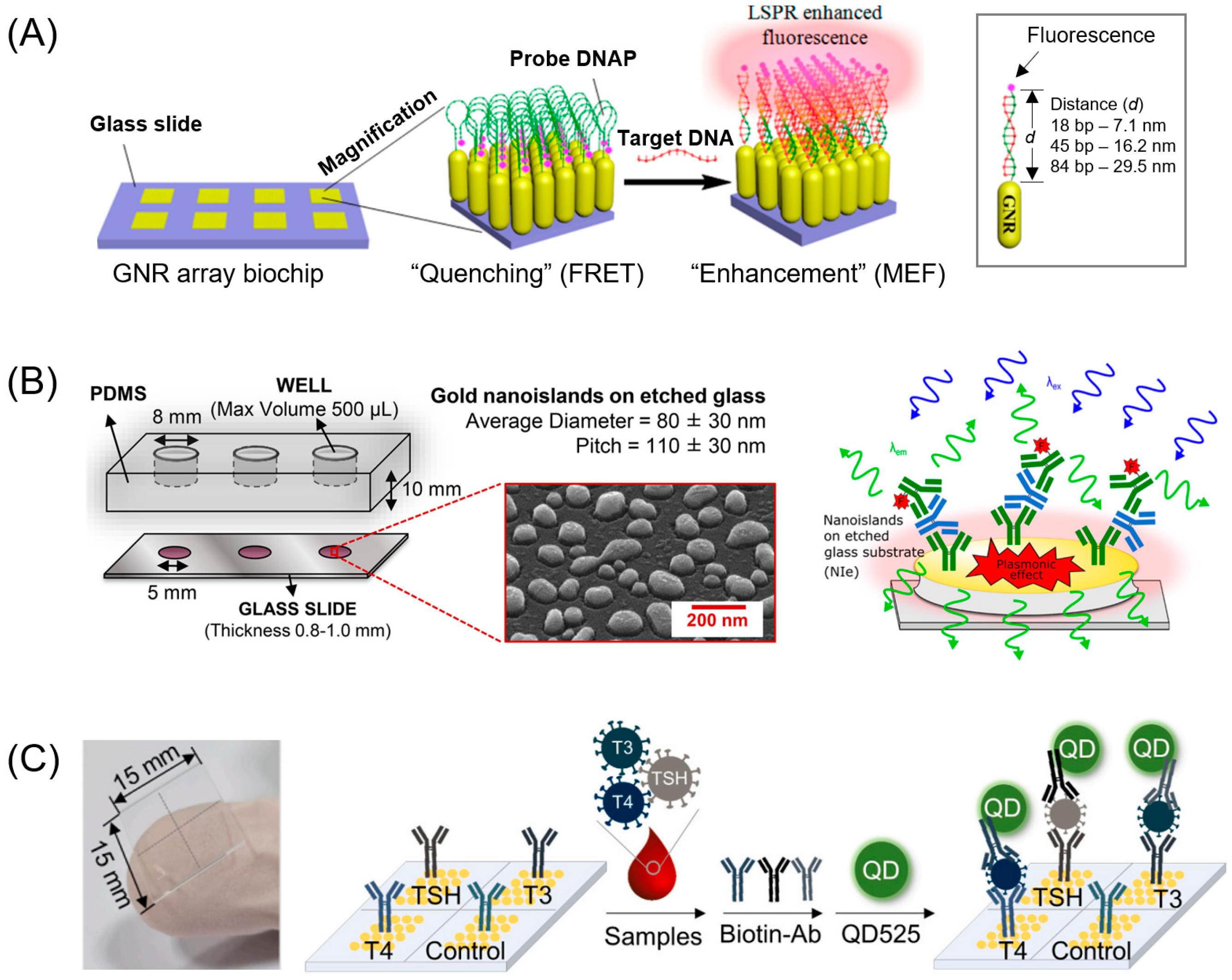 Biosensors 13 00376 g004 Biosensors 13 00376 g004