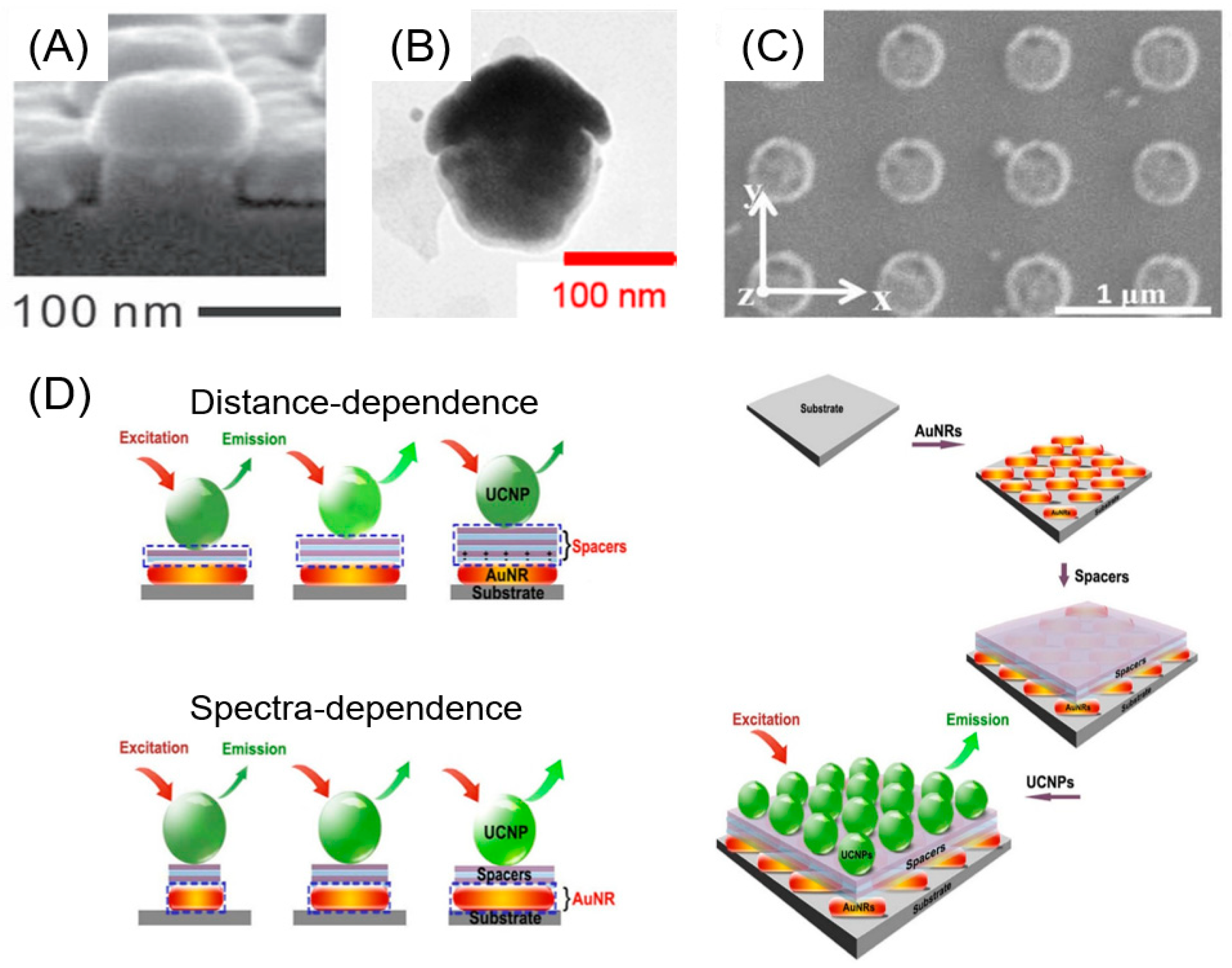 Biosensors 13 00376 g006 Biosensors 13 00376 g006