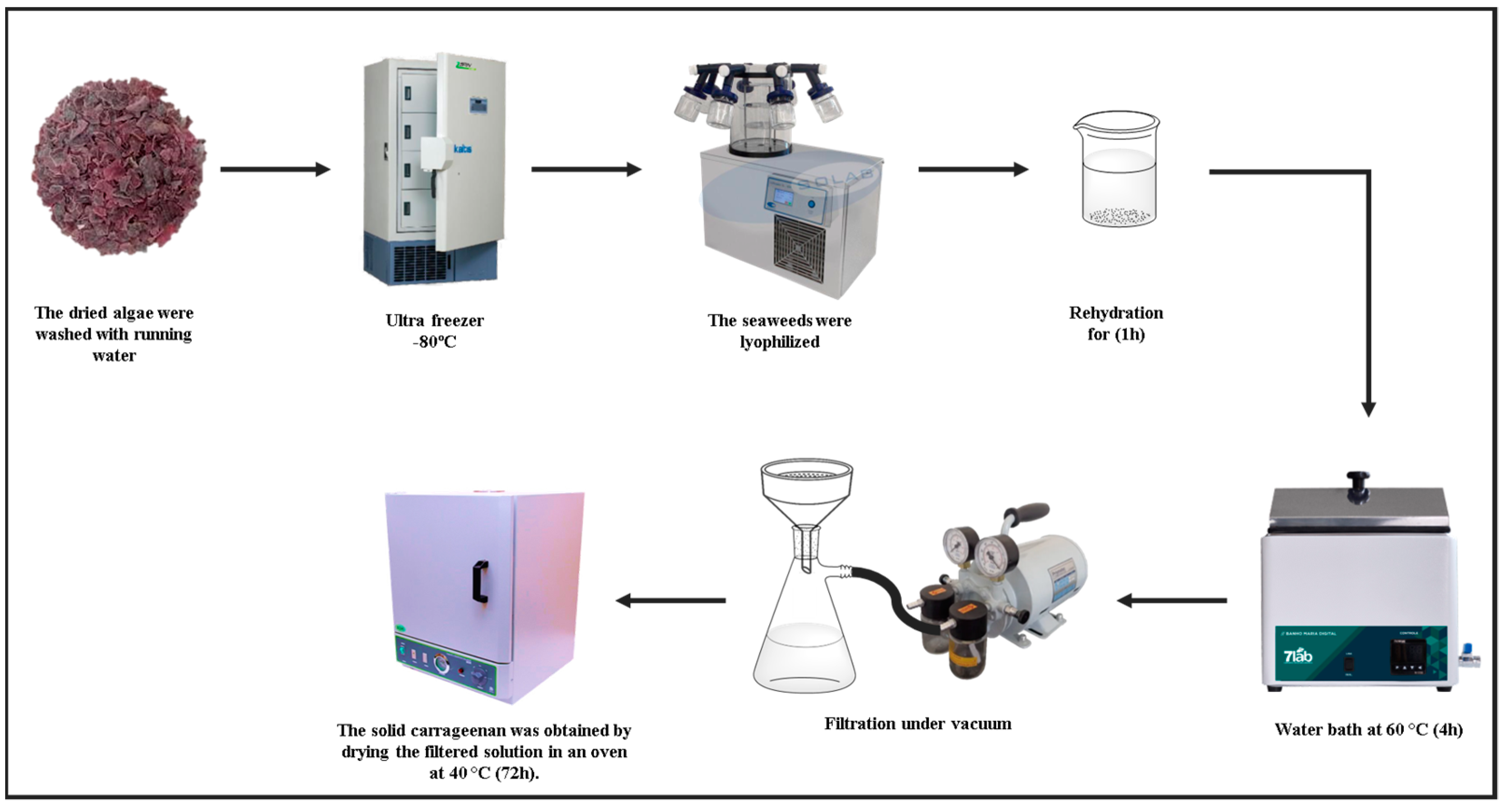 Biosensors Free FullText Carrageenan from Gigartina skottsbergii