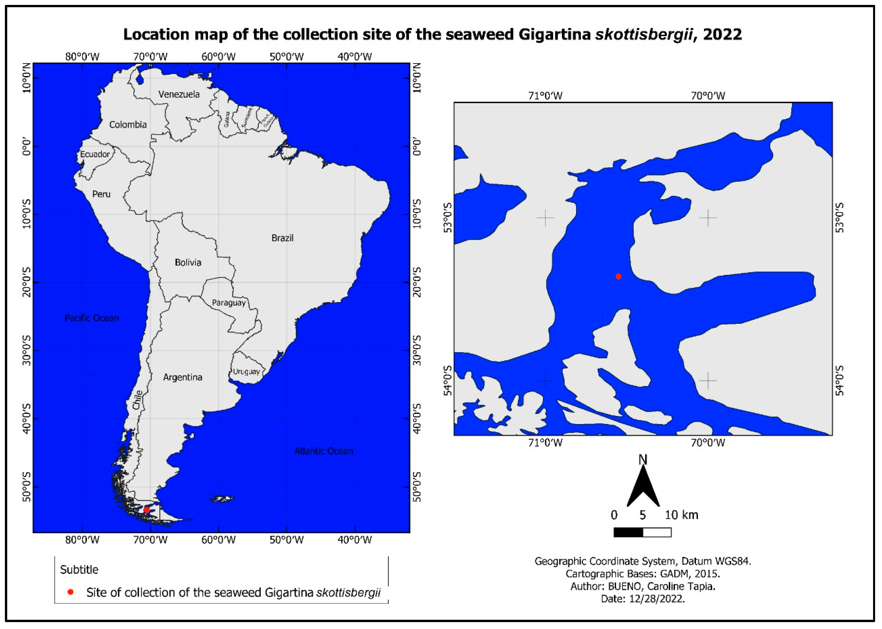 Biosensors 13 00378 g002 Biosensors 13 00378 g002