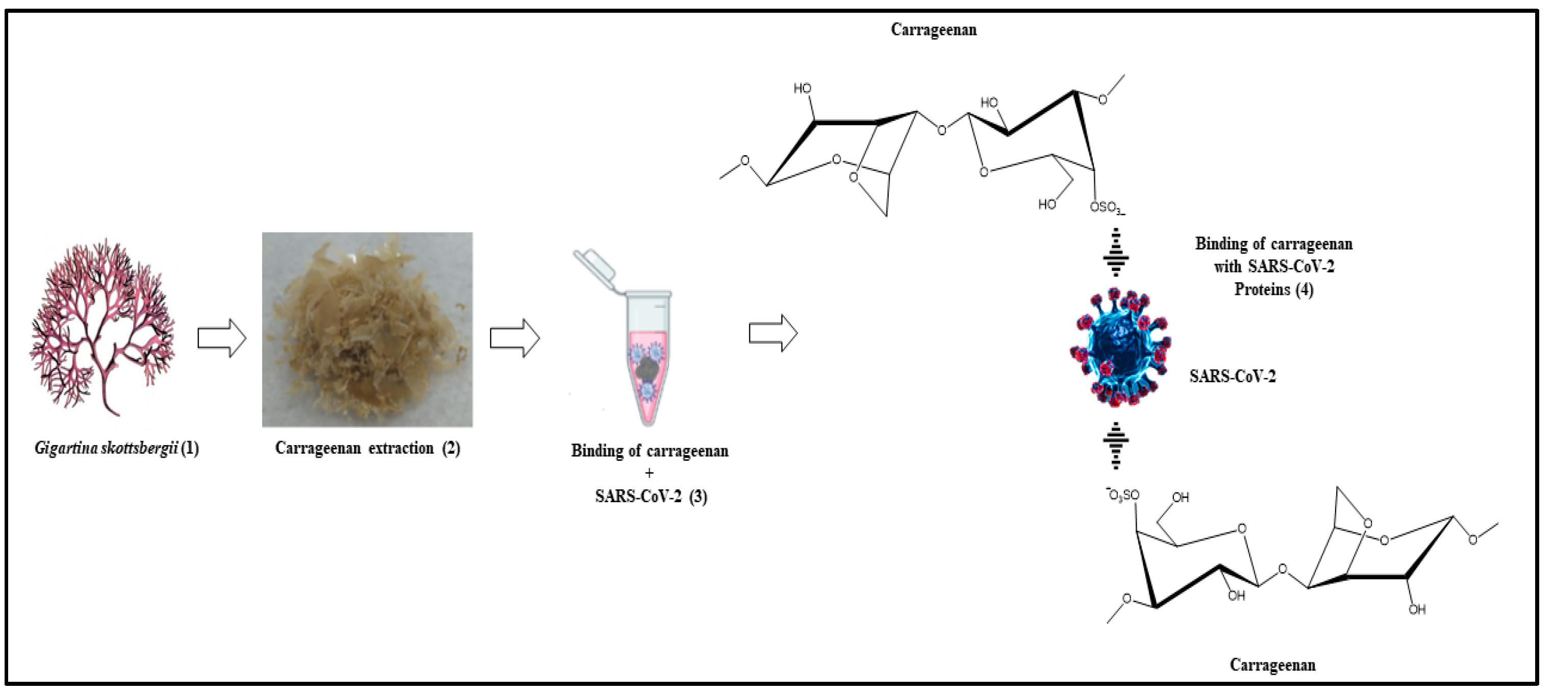 Biosensors 13 00378 g009 Biosensors 13 00378 g009
