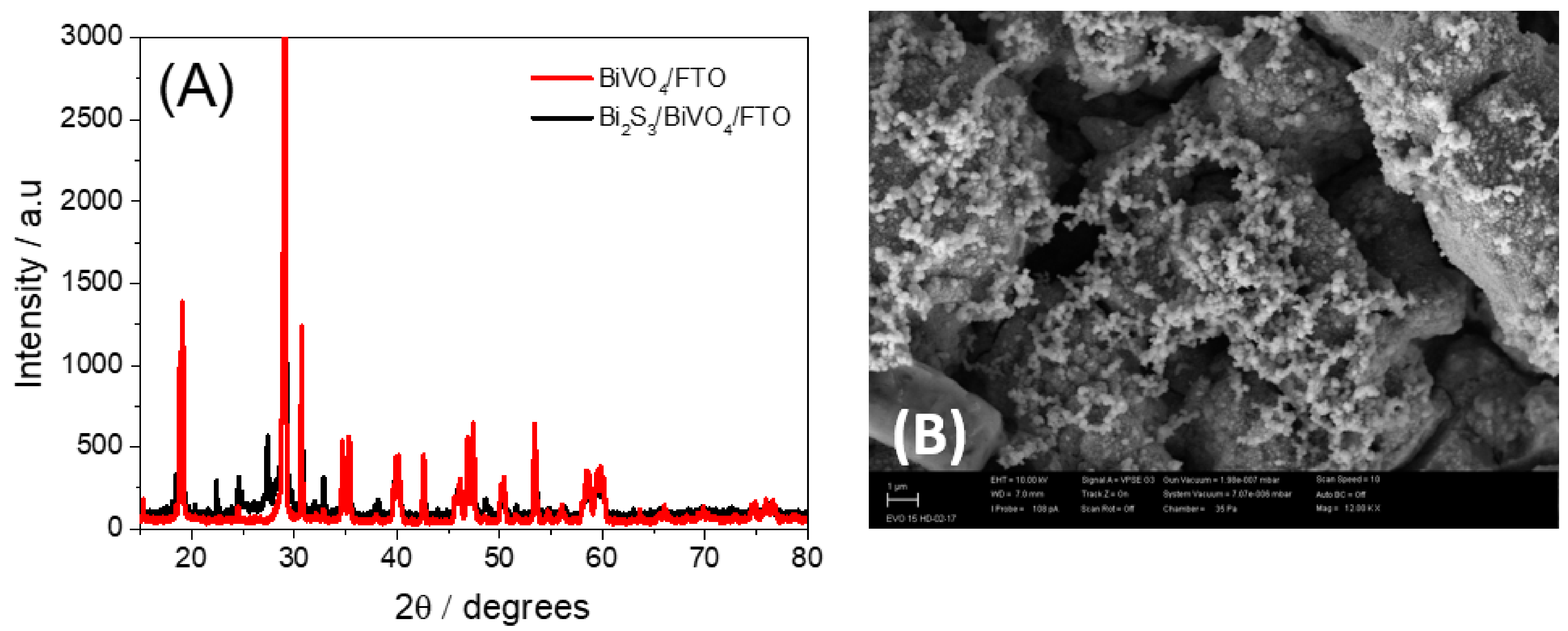 Biosensors 13 00379 g001