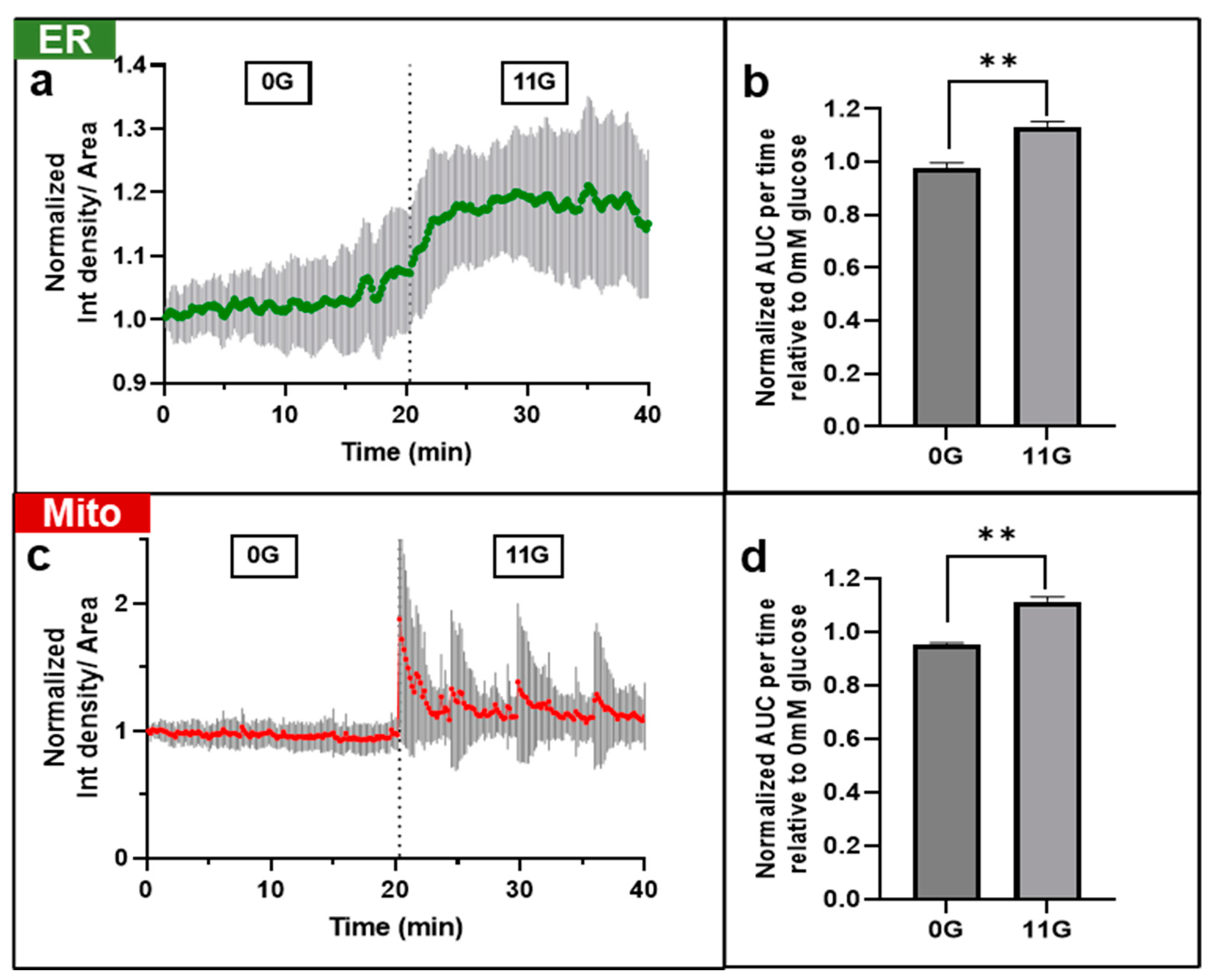 Biosensors 13 00382 g003 Biosensors 13 00382 g003