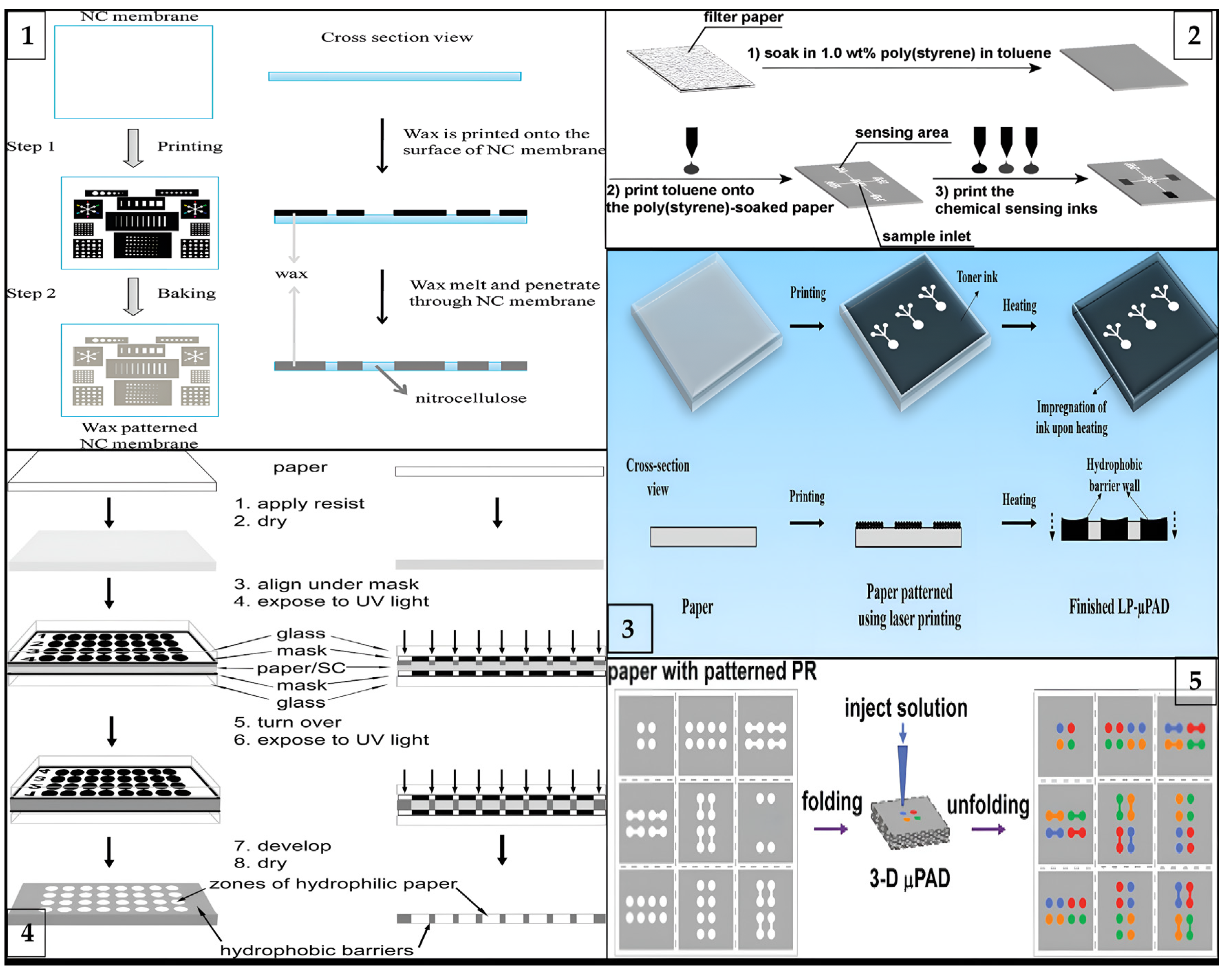 Biosensors 13 00387 g002