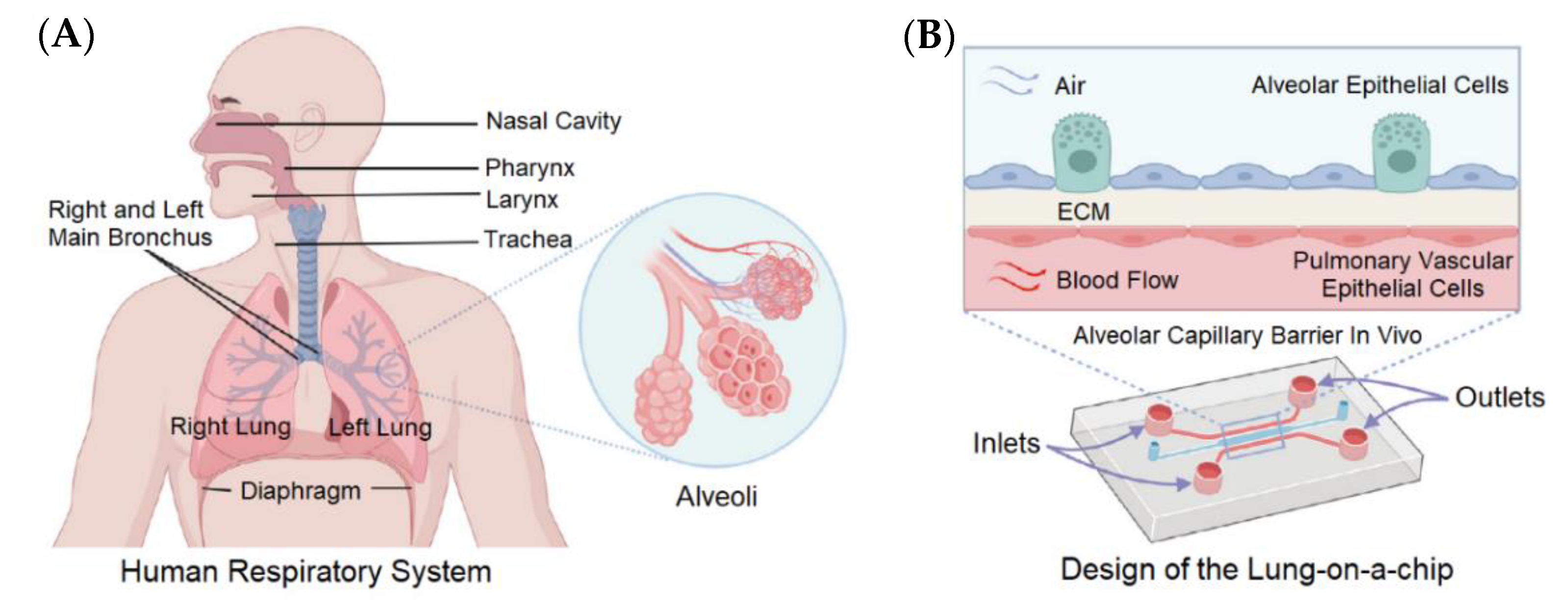 Biosensors 13 00389 g006