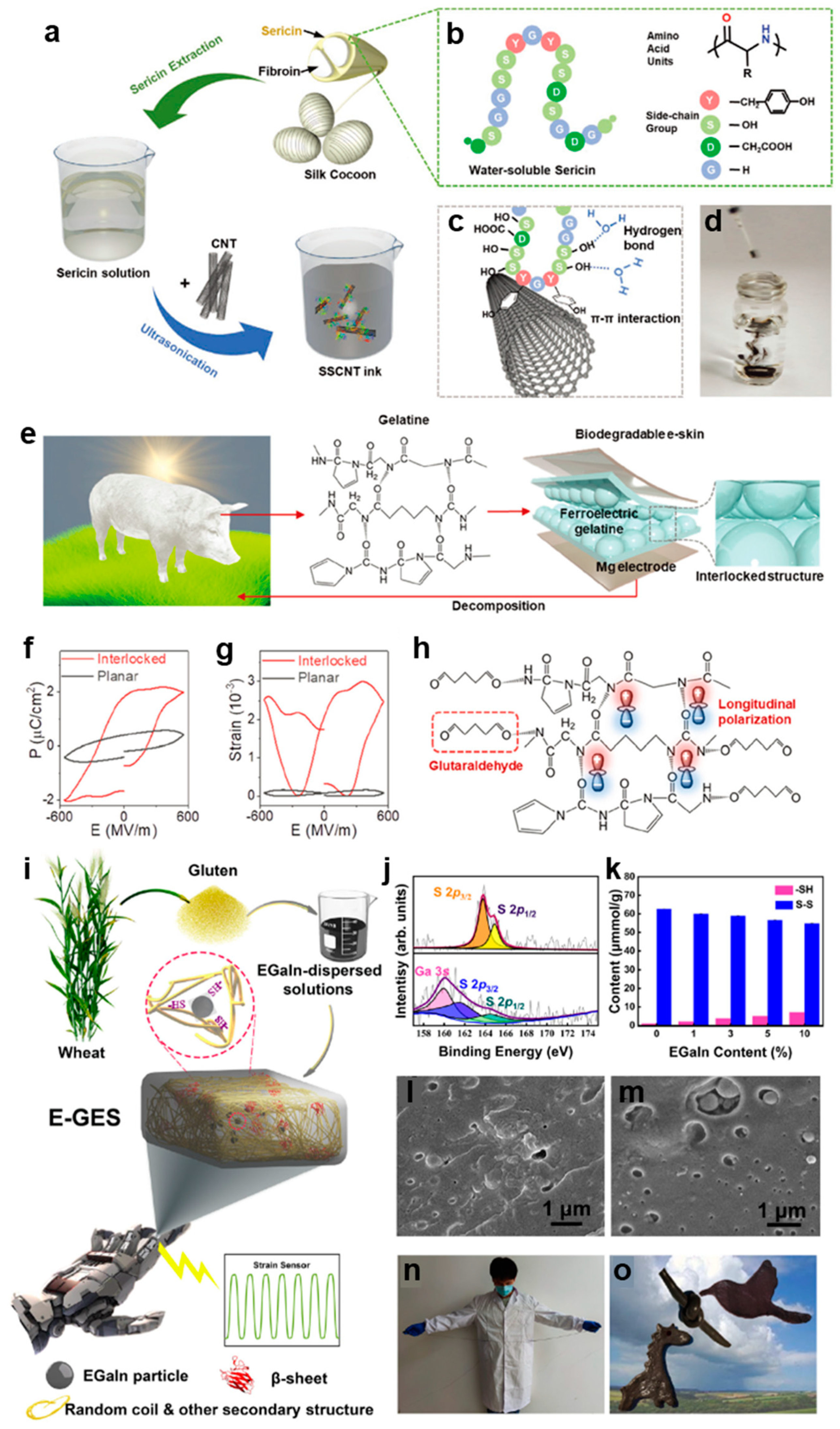 Biosensors 13 00393 g001 Biosensors 13 00393 g001