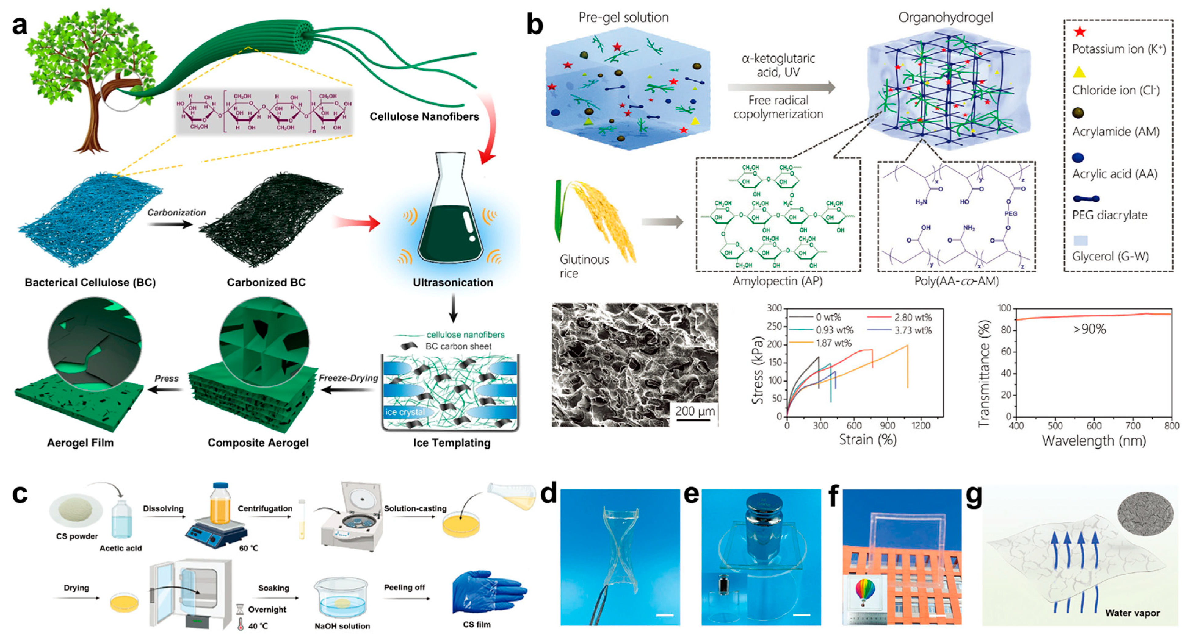 Biosensors 13 00393 g002 Biosensors 13 00393 g002