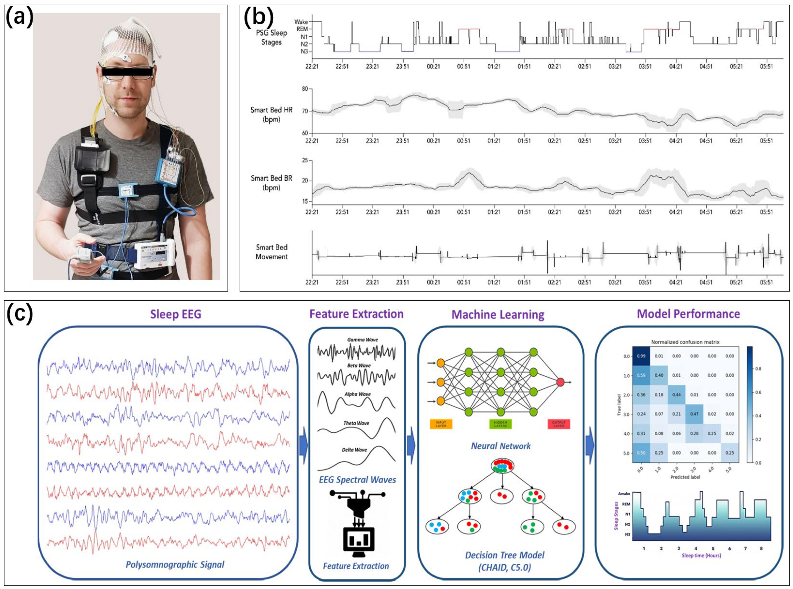 Biosensors 13 00395 g002 Biosensors 13 00395 g002