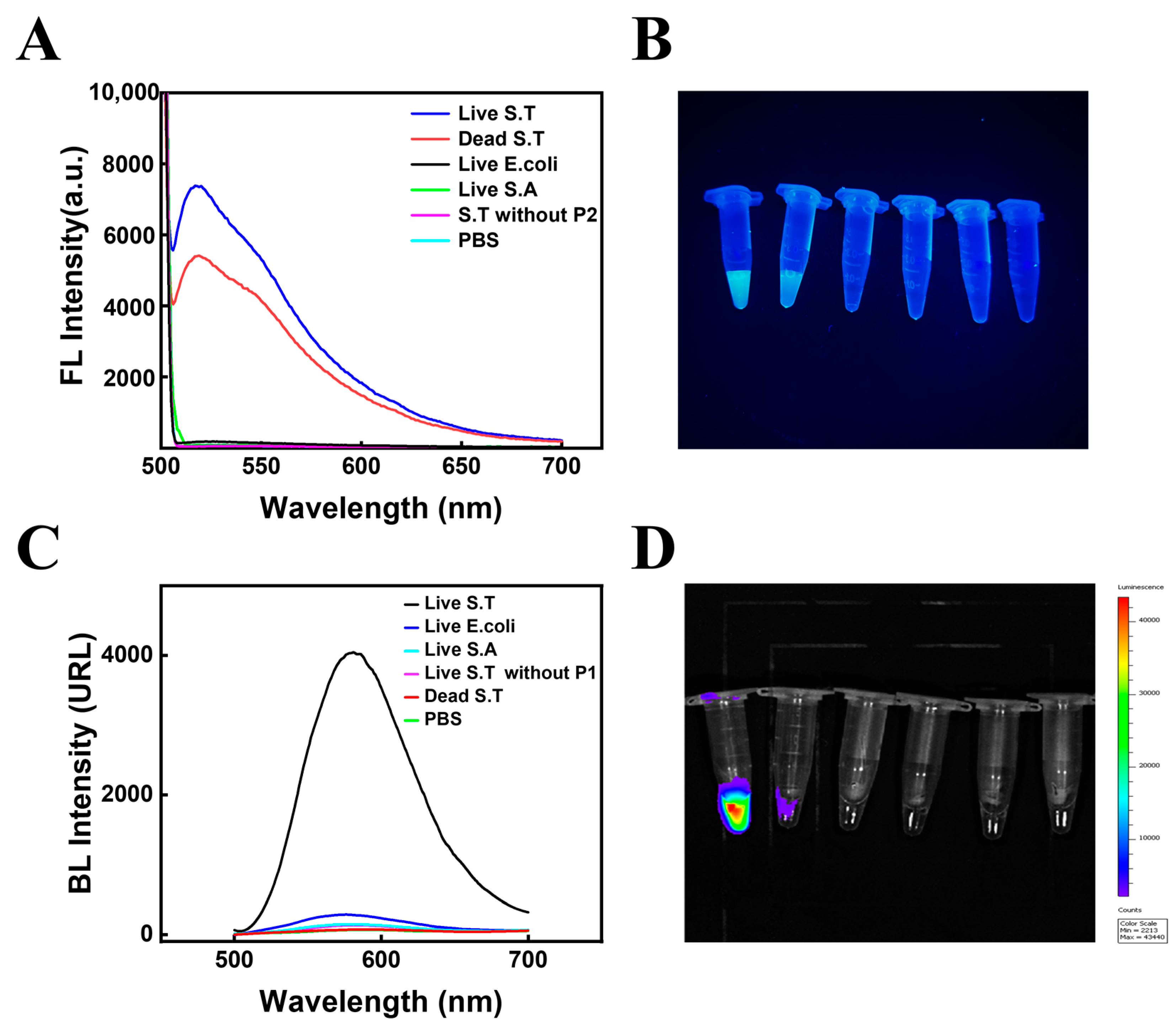 Biosensors 13 00401 g003 Biosensors 13 00401 g003