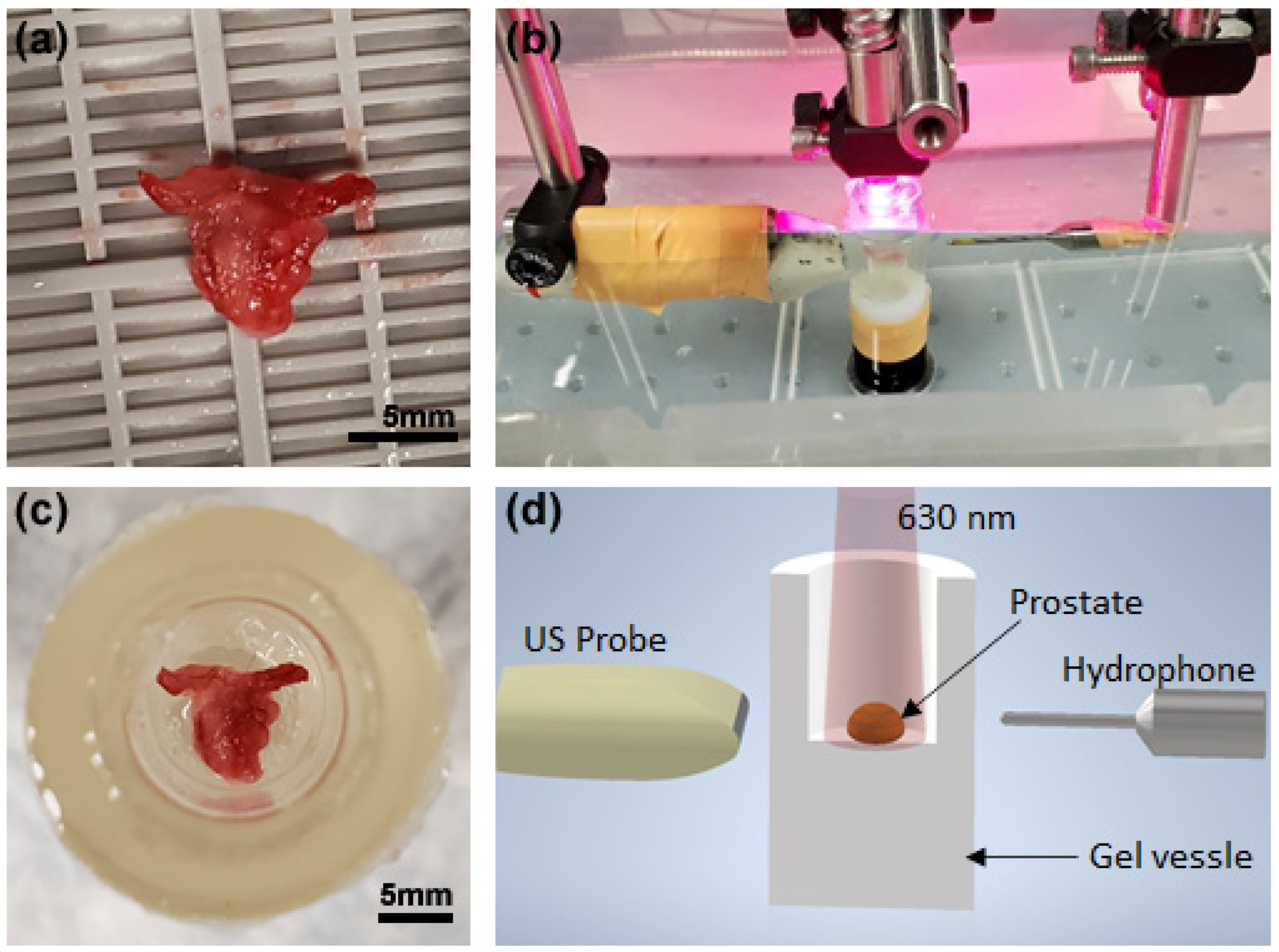 Biosensors 13 00403 g003 Biosensors 13 00403 g003