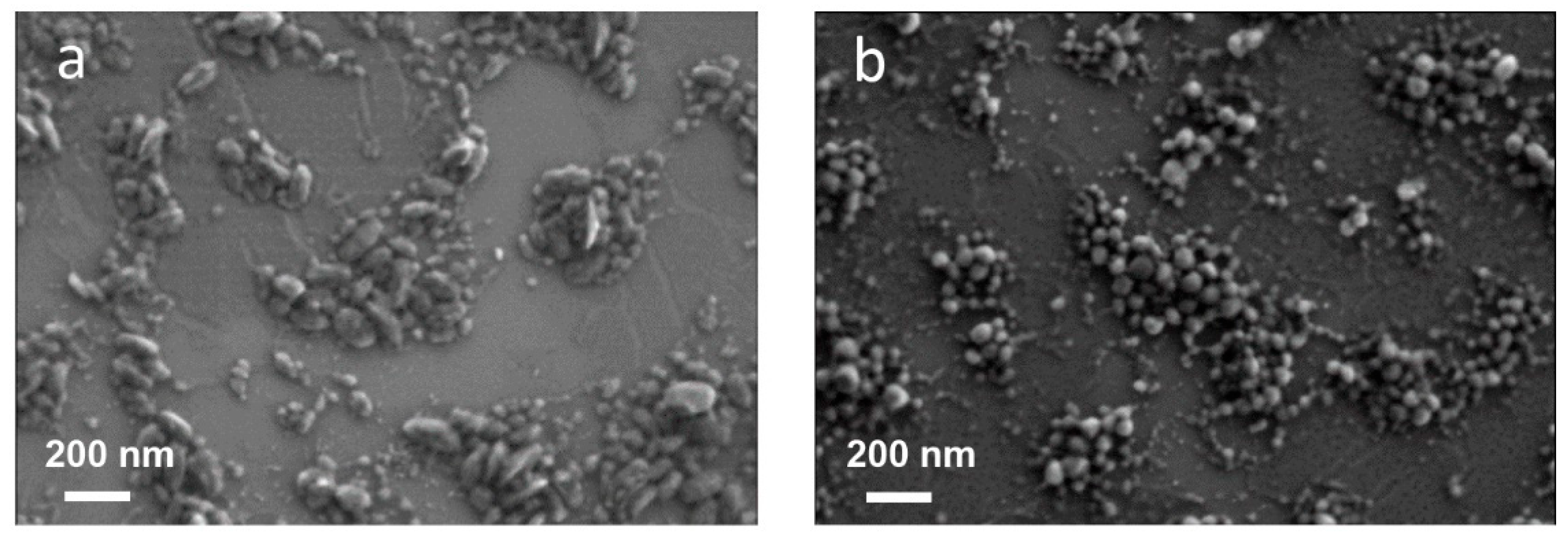 Biosensors 13 00408 g002 Biosensors 13 00408 g002