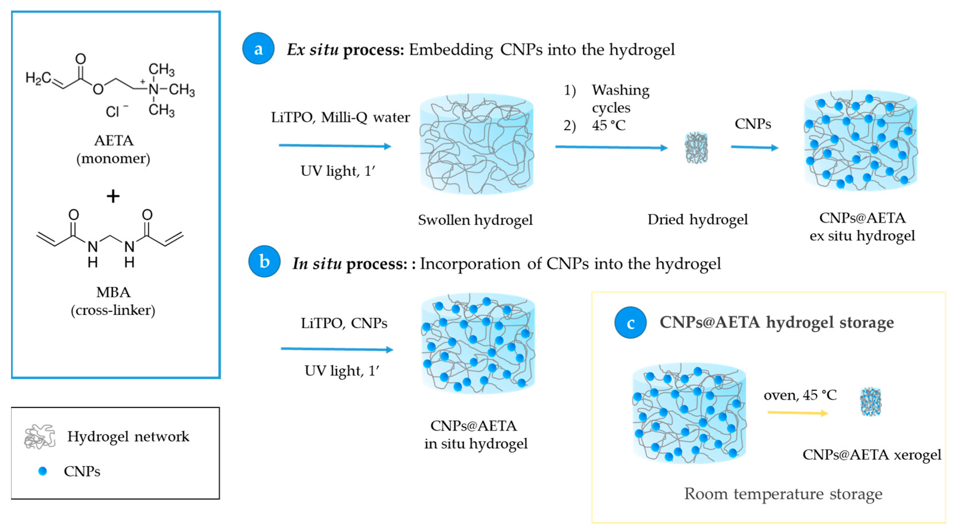 Biosensors 13 00408 sch002 Biosensors 13 00408 sch002