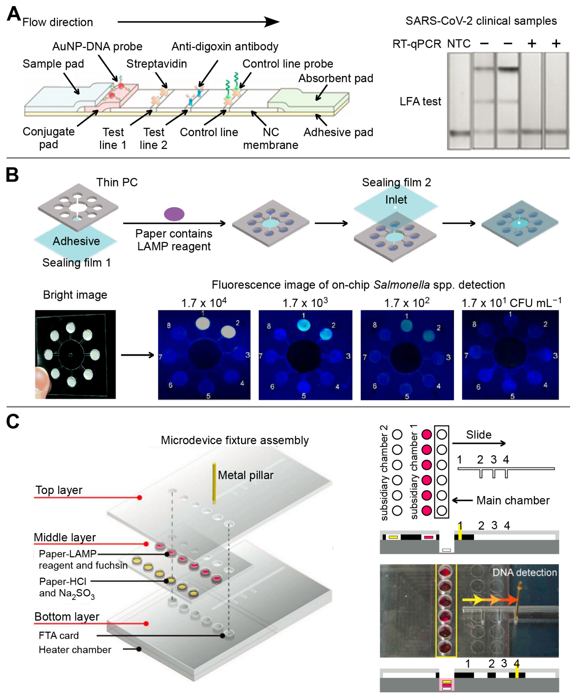 Biosensors 13 00410 g004 Biosensors 13 00410 g004