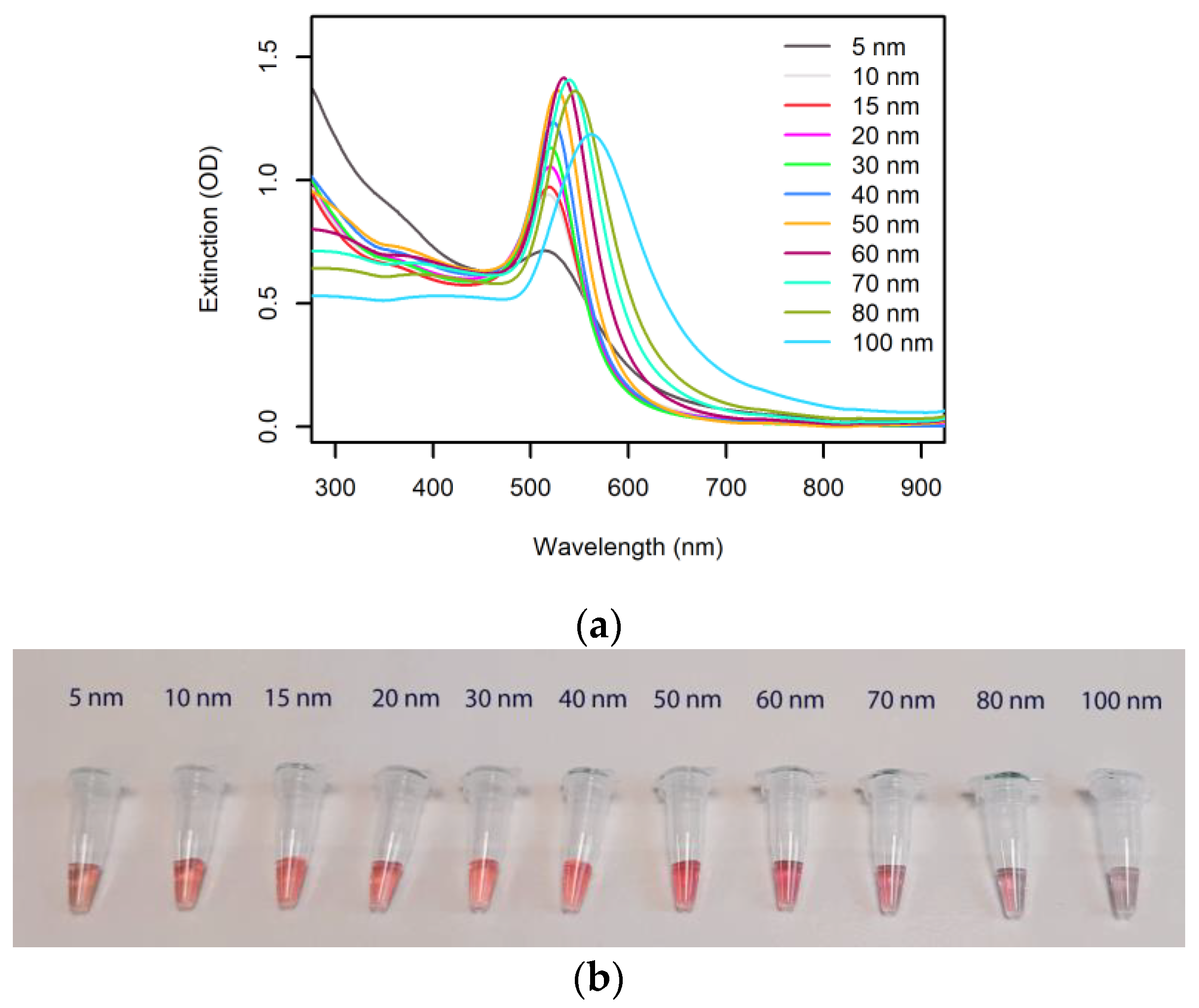 Biosensors 13 00411 g002 Biosensors 13 00411 g002