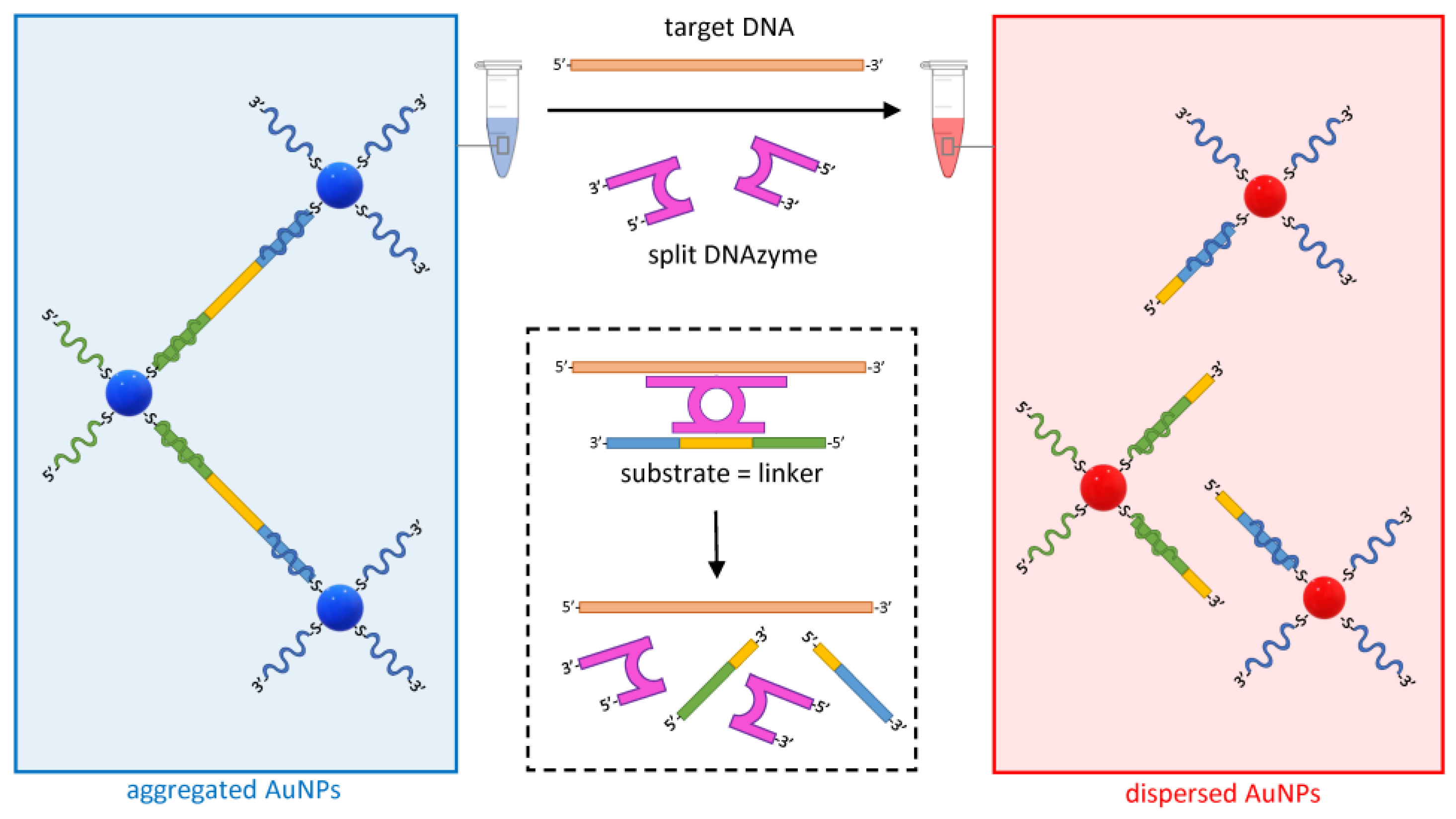 Biosensors 13 00411 g006 Biosensors 13 00411 g006