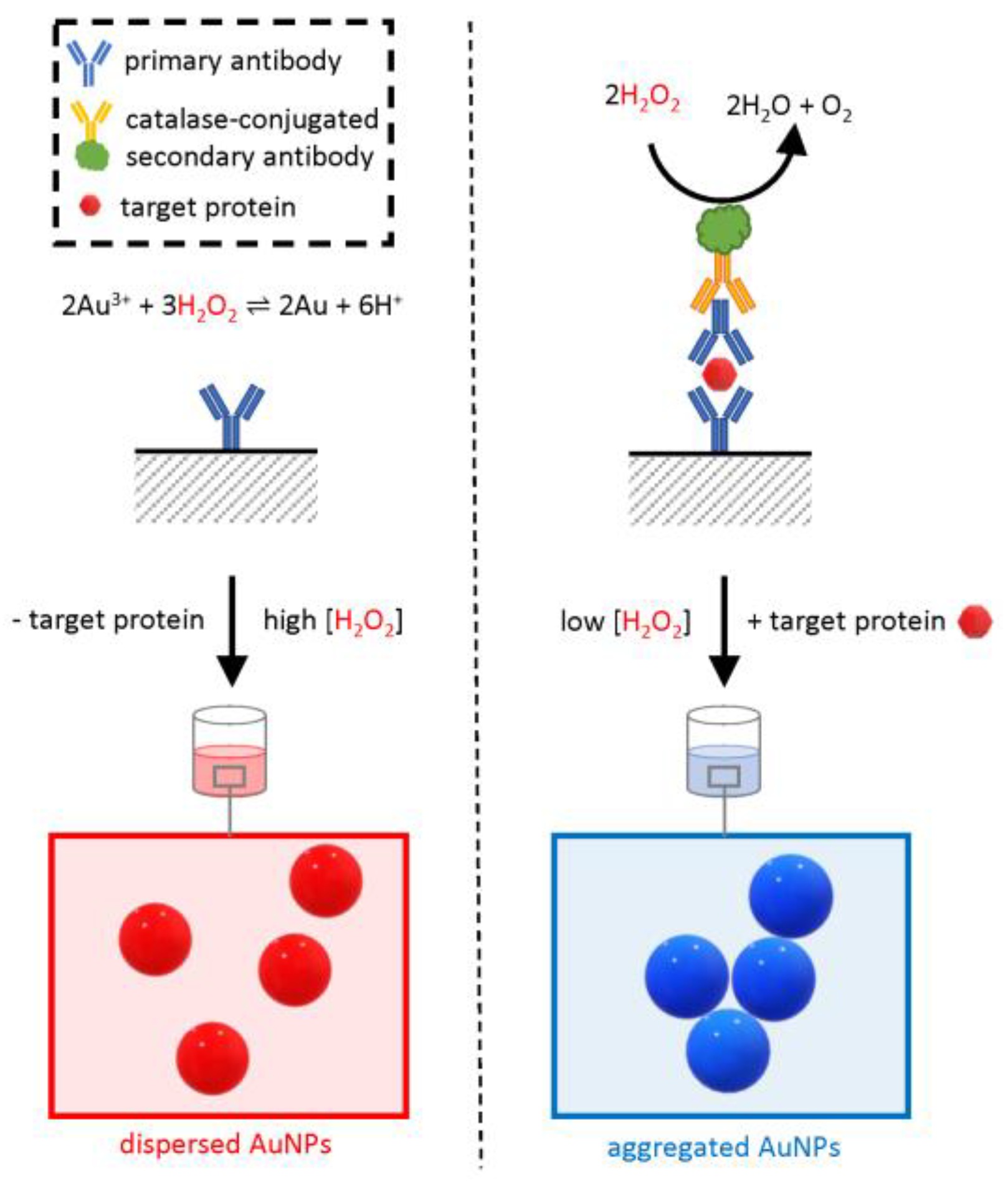 Biosensors 13 00411 g007 Biosensors 13 00411 g007