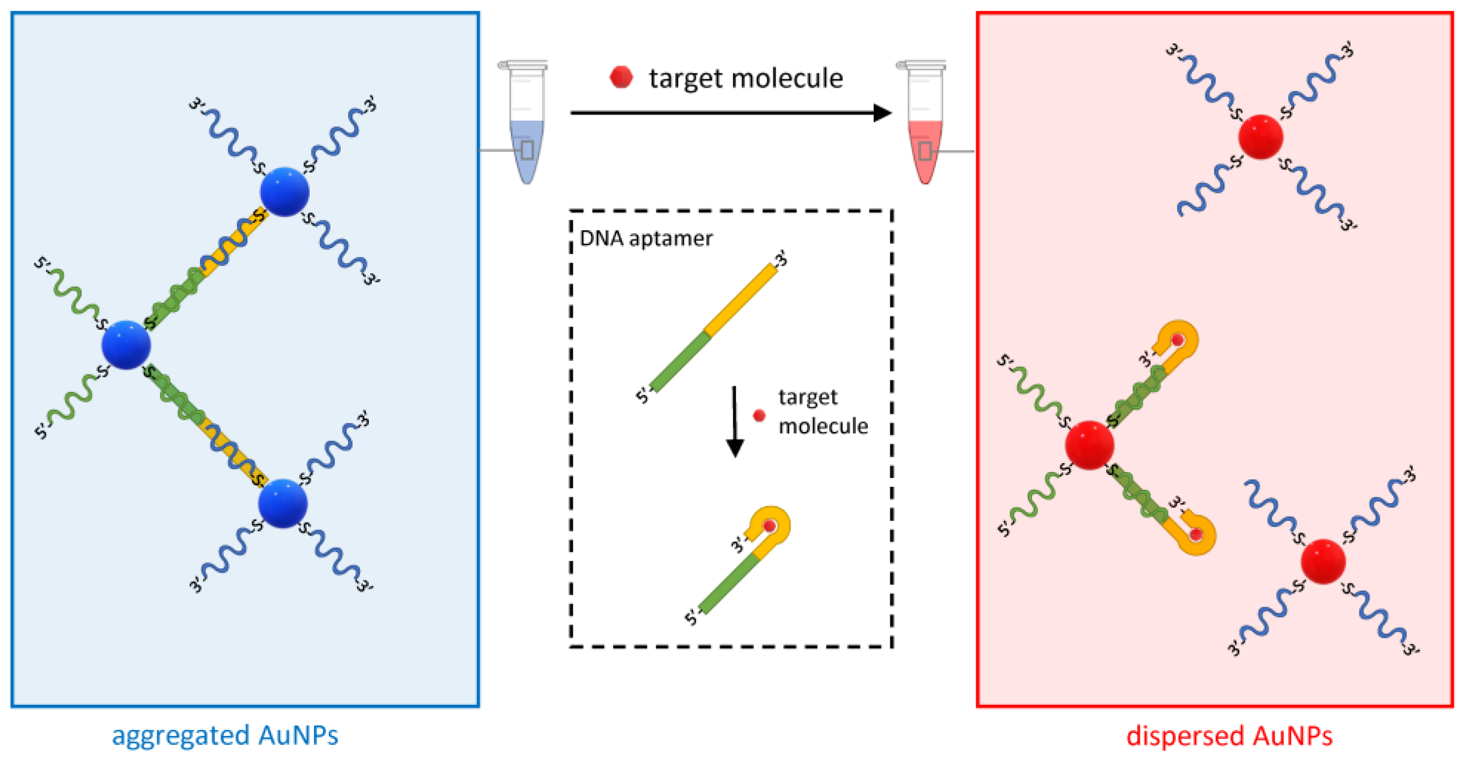 Biosensors 13 00411 g009 Biosensors 13 00411 g009