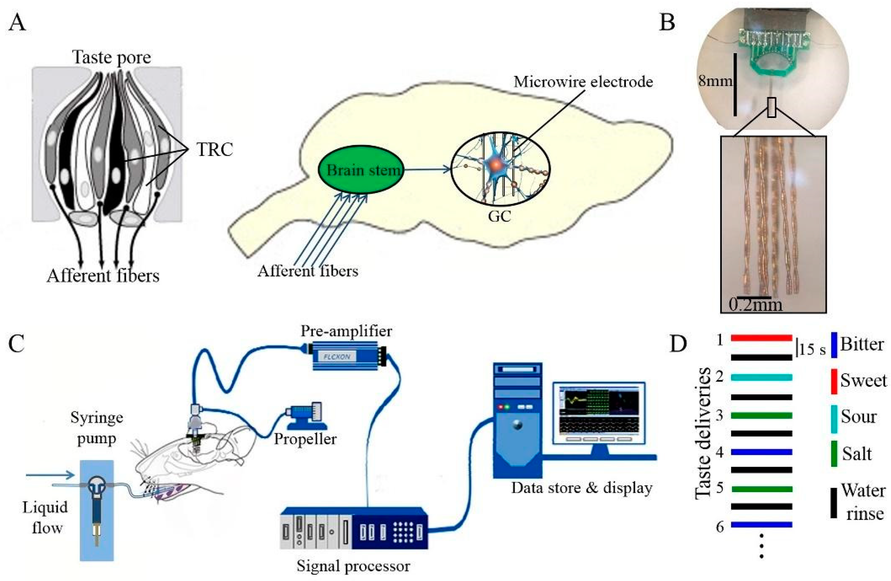 Biosensors 13 00414 g003