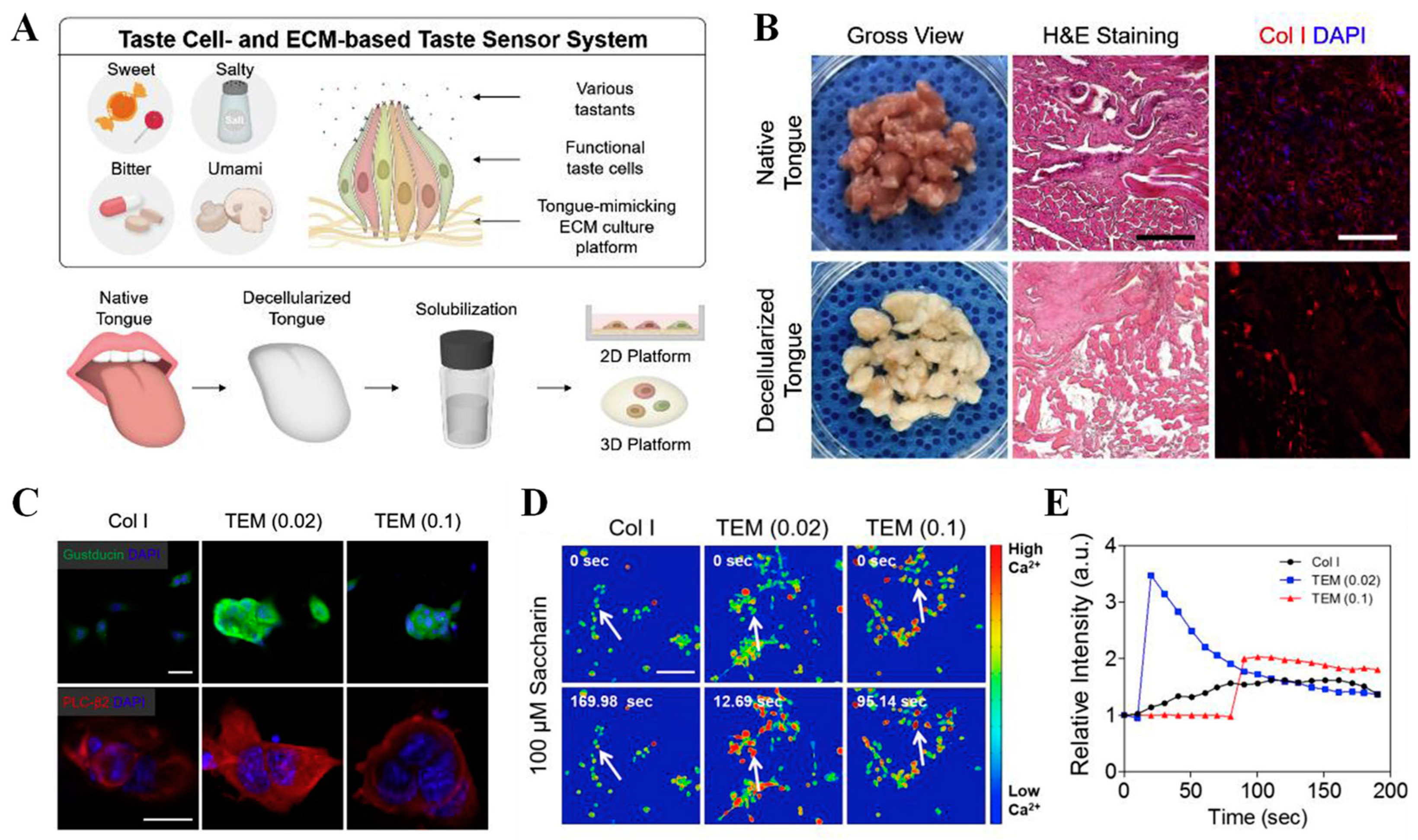 Biosensors 13 00414 g008
