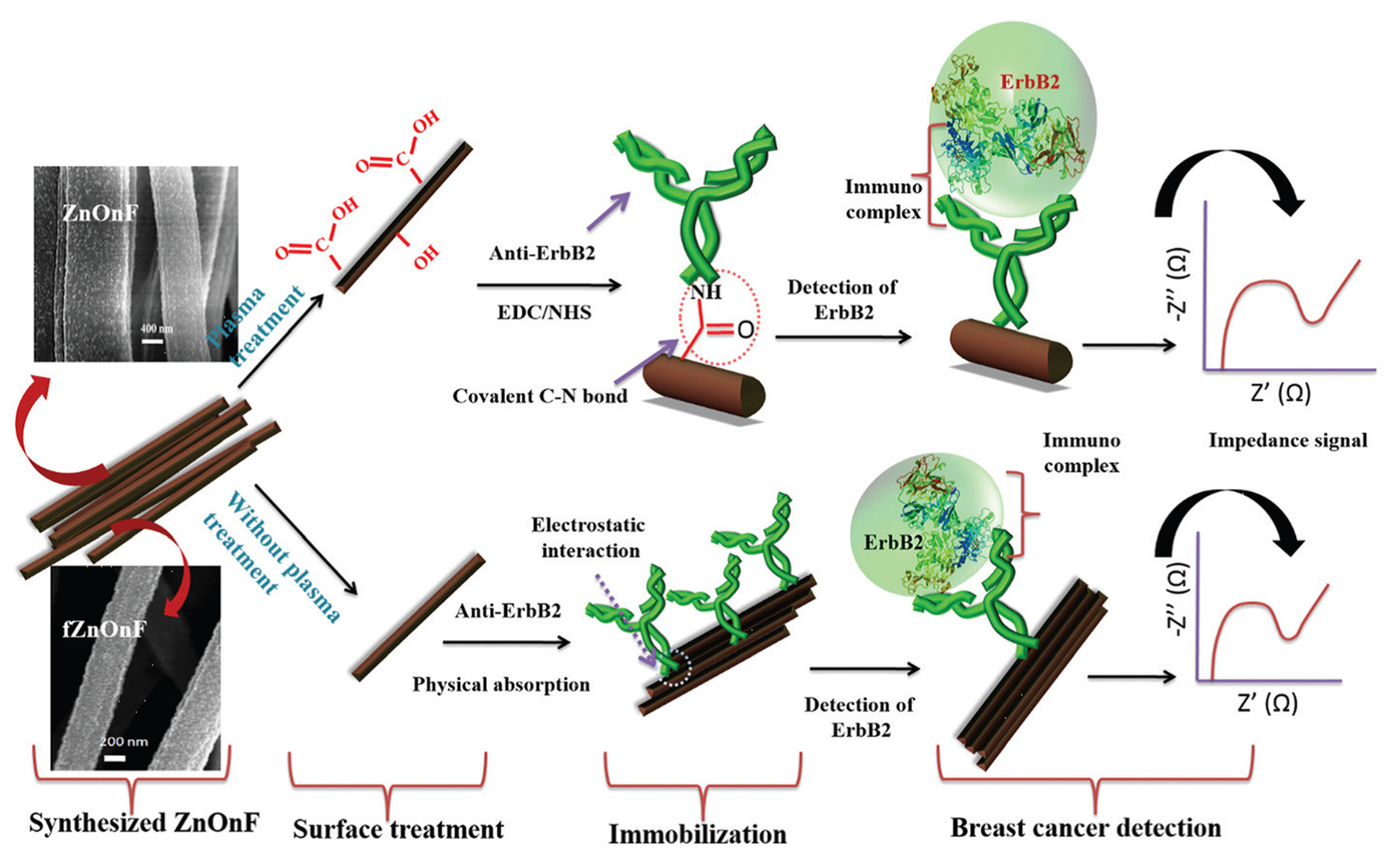 Biosensors 13 00416 g001 Biosensors 13 00416 g001