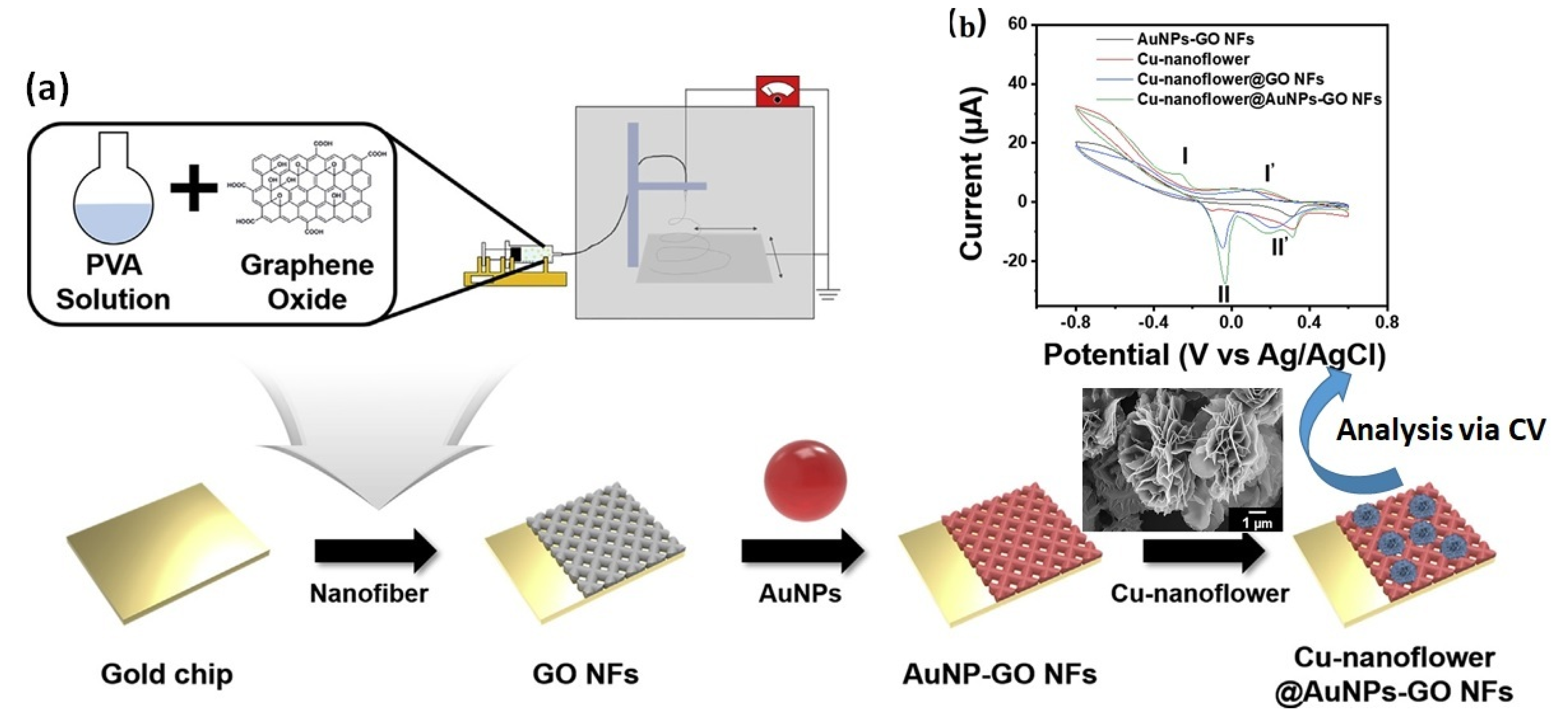 Biosensors 13 00416 g002 Biosensors 13 00416 g002