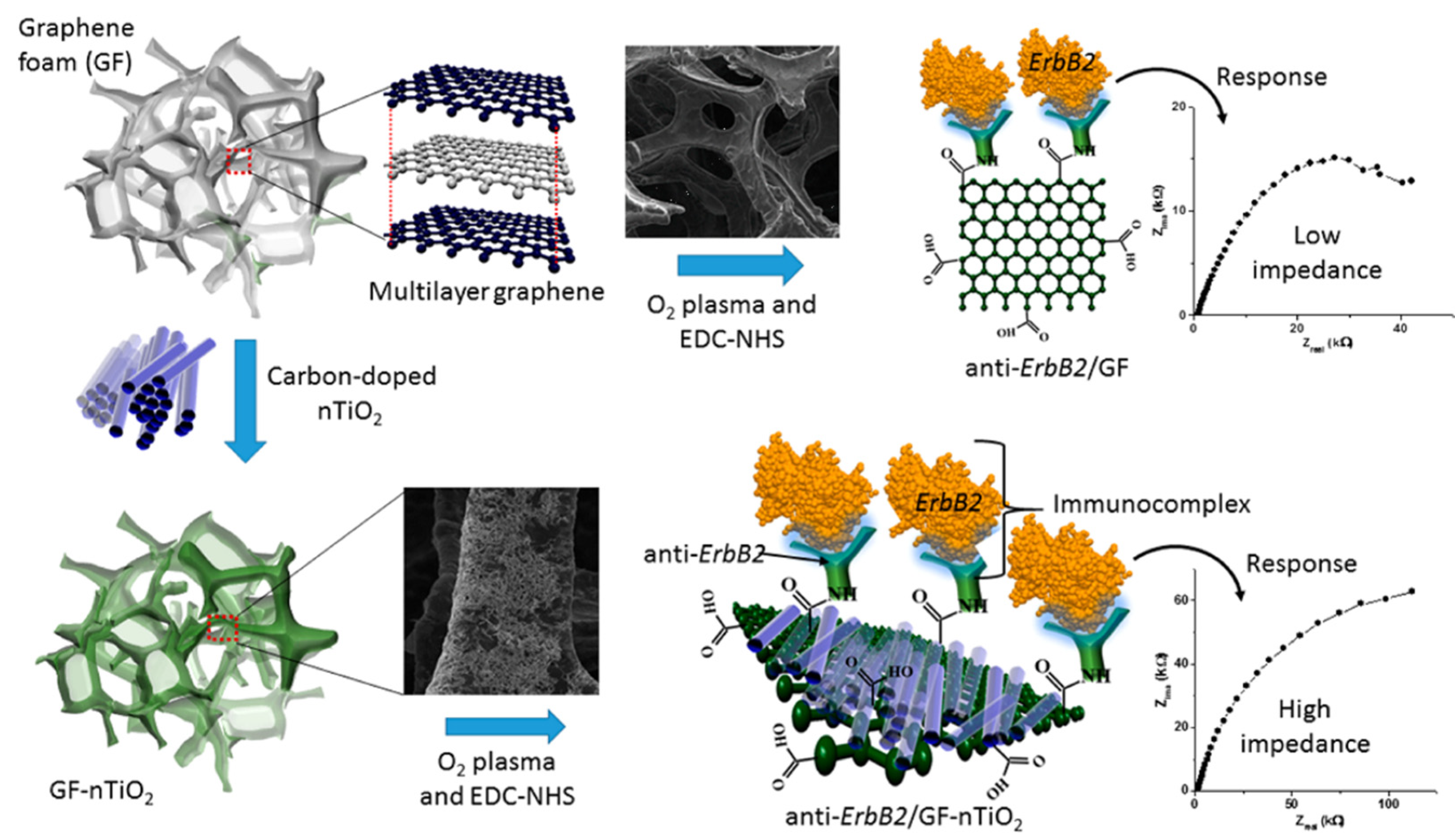 Biosensors 13 00416 g005 Biosensors 13 00416 g005