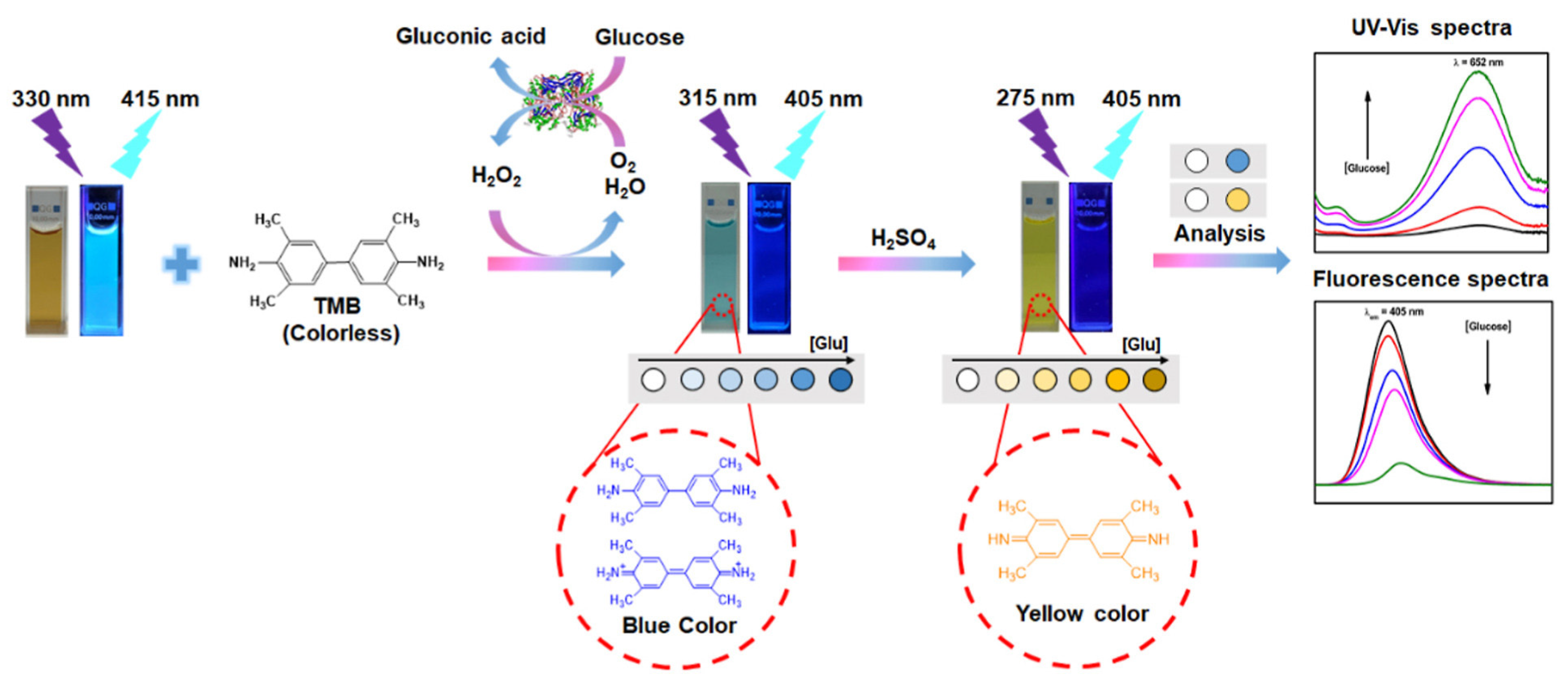 Biosensors 13 00420 g003